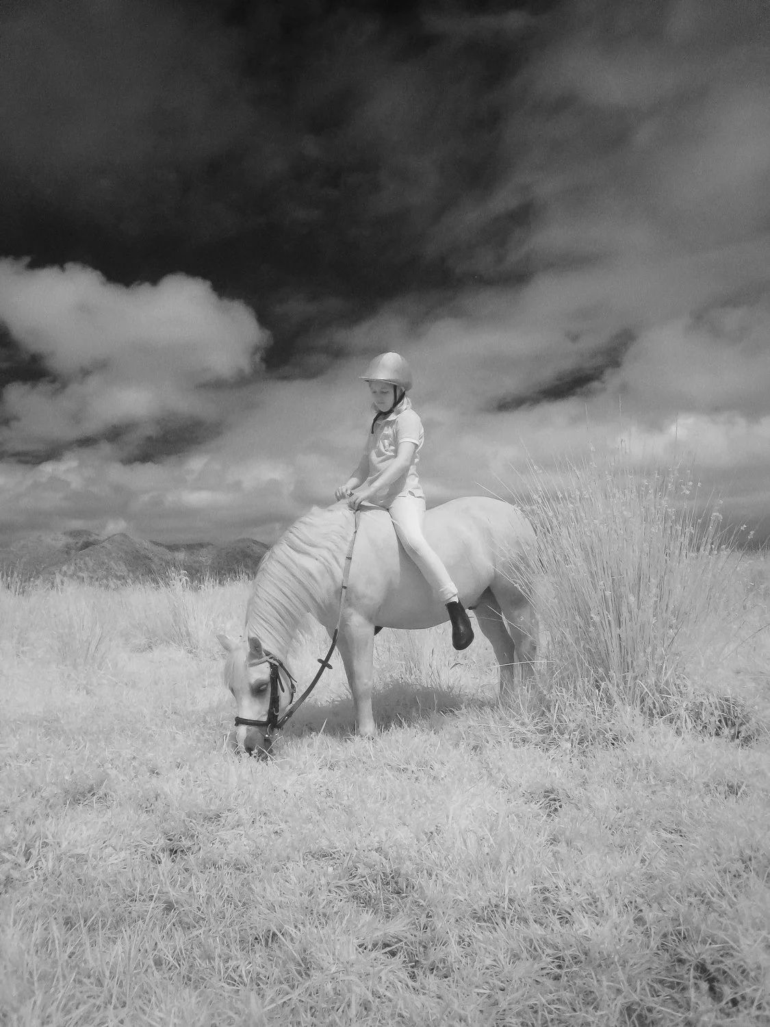 infared of girl sitting on pony

