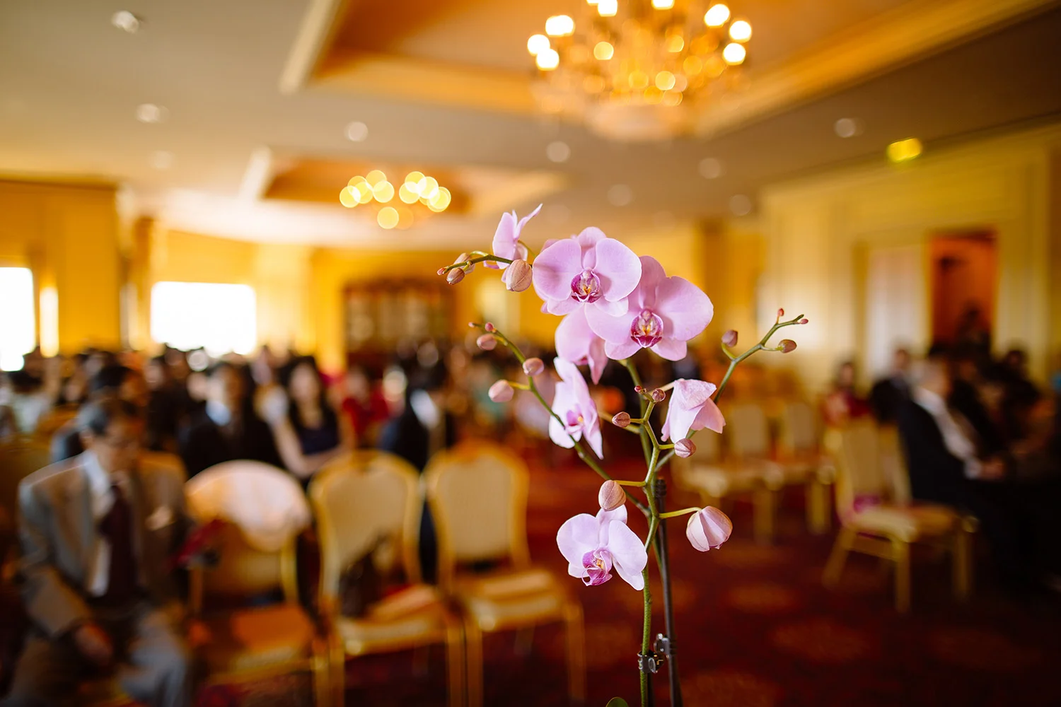 Cleveland Wedding Photographer - Susan and Patrick - Ritz Carlton 