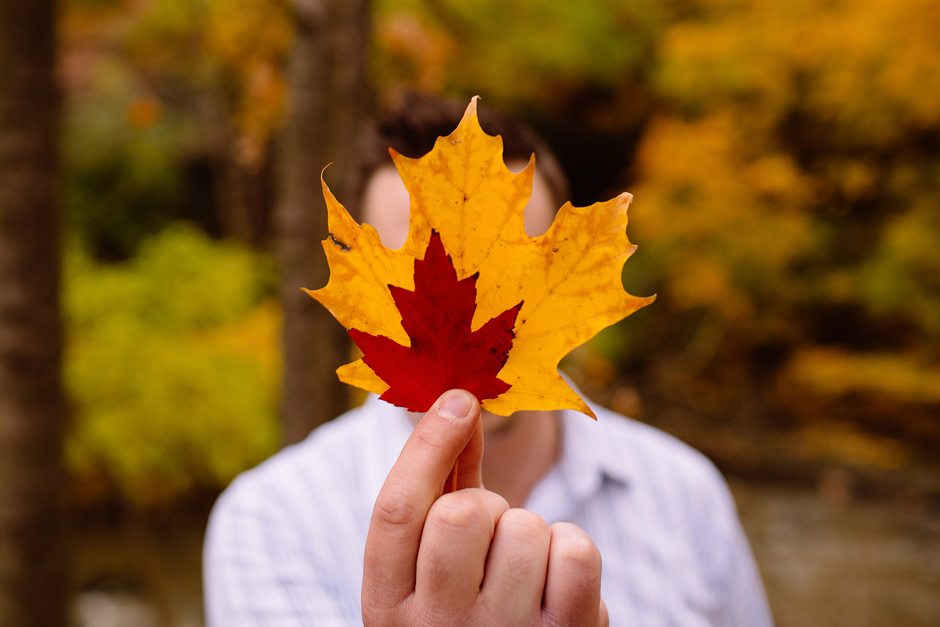 Olmsted Falls Autumn Engagement Photographer 10.jpg