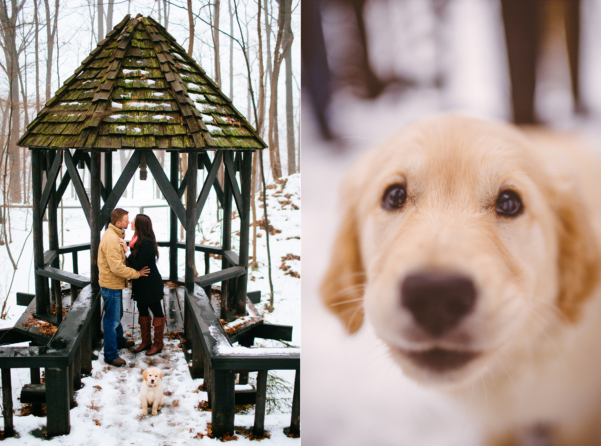 Winter Engagement Session with an Adorable Puppy in Cleveland 01.jpg