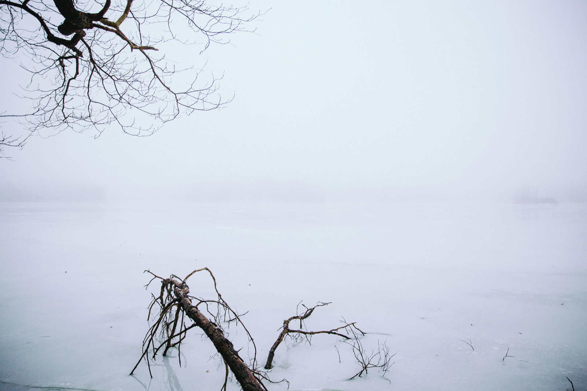 Winter Engagement Session with an Adorable Puppy in Cleveland 12.jpg