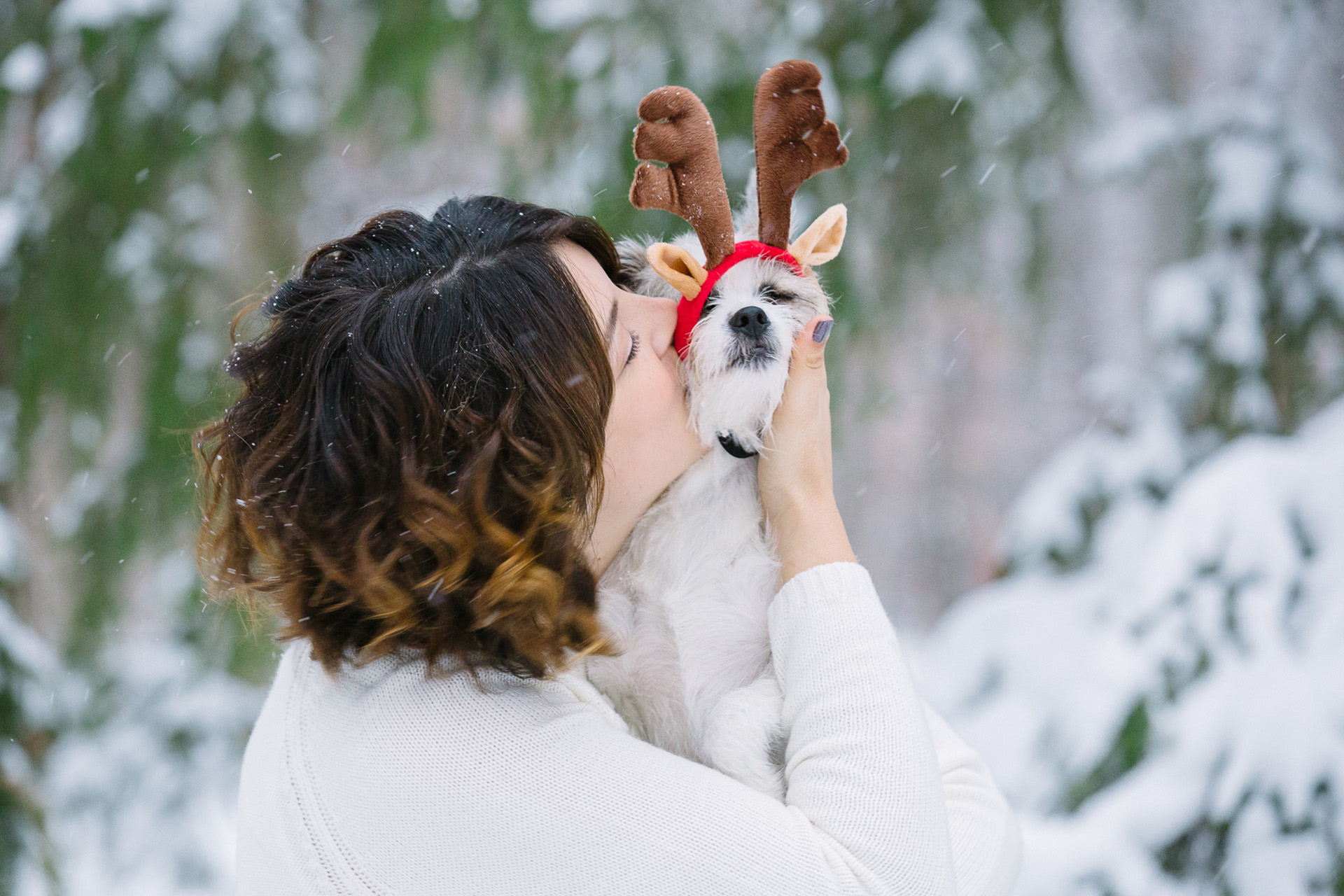 Dog and Puppy Photographer in Cleveland 06.jpg