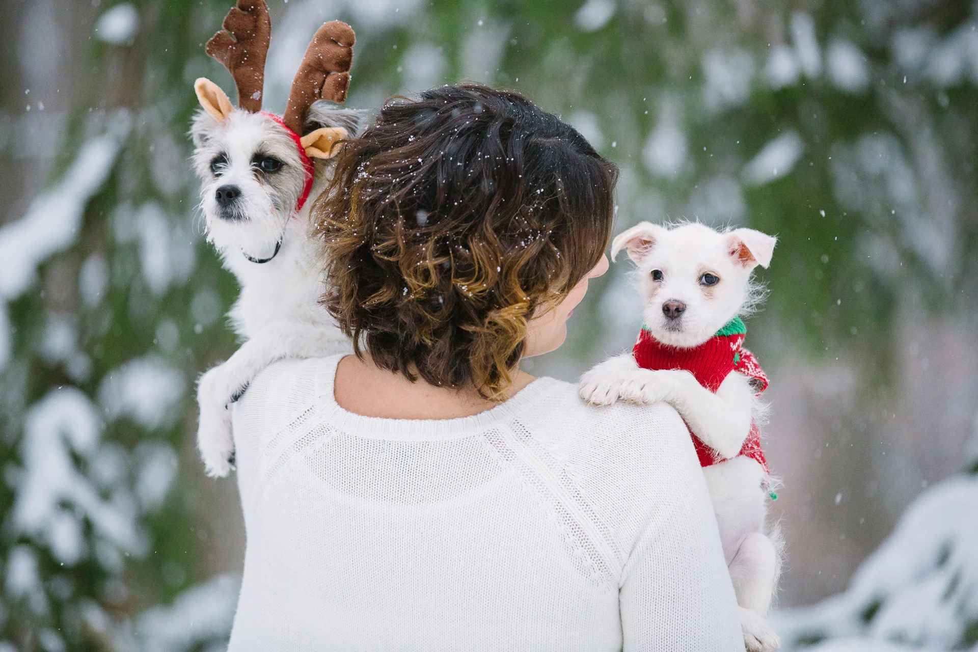 Kayla + Zoey + Millie // adorable puppies and a pretty girl