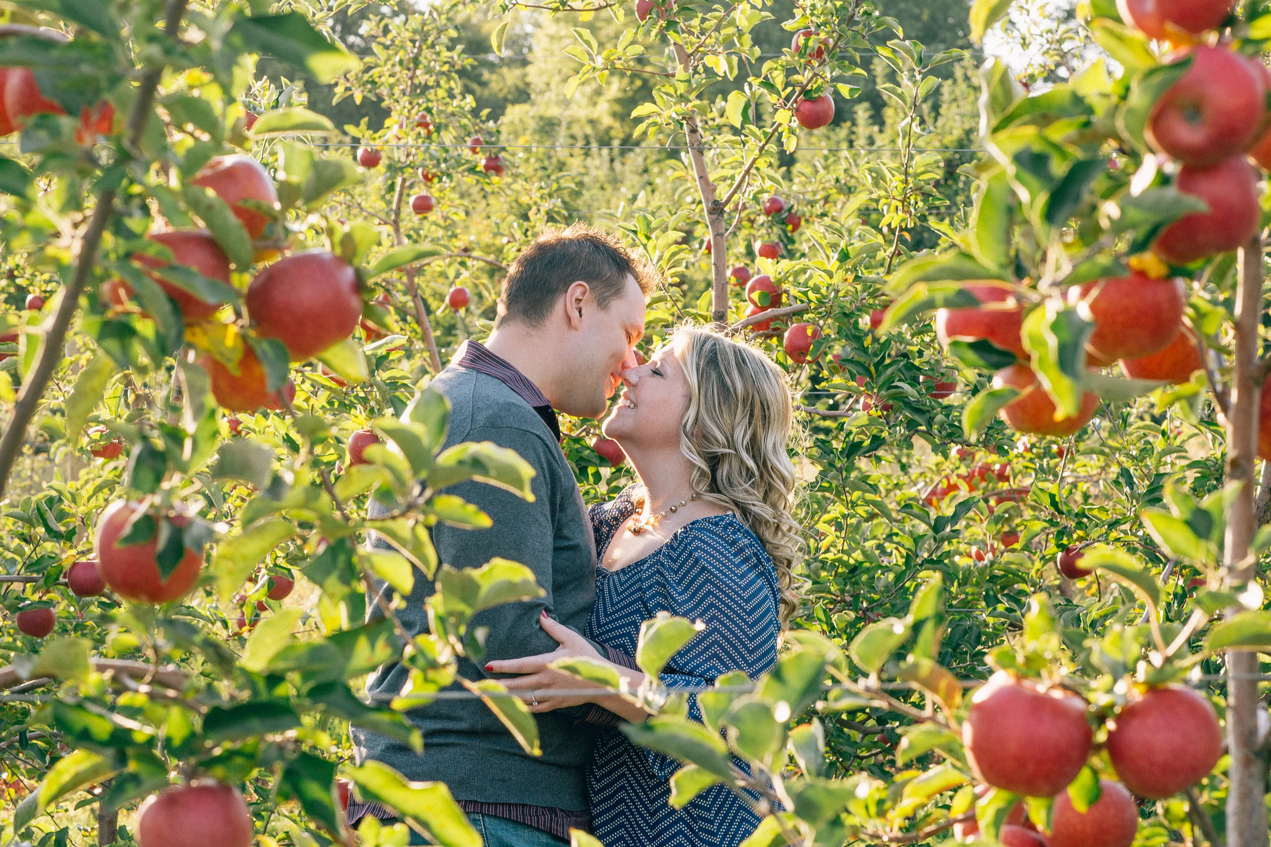 Lisa + Billy // a fall apple orchard engagement session