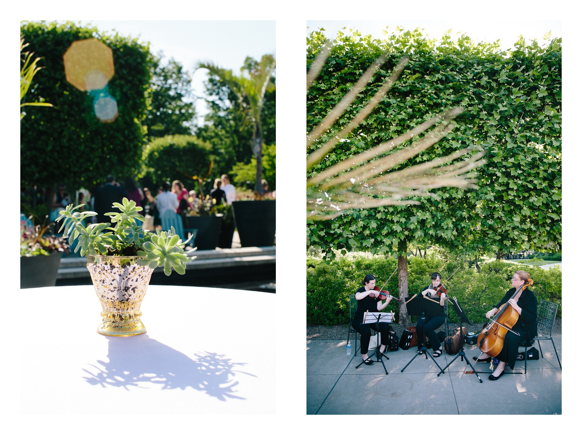 Cleveland Wedding at Botanical Gardens-28.jpg