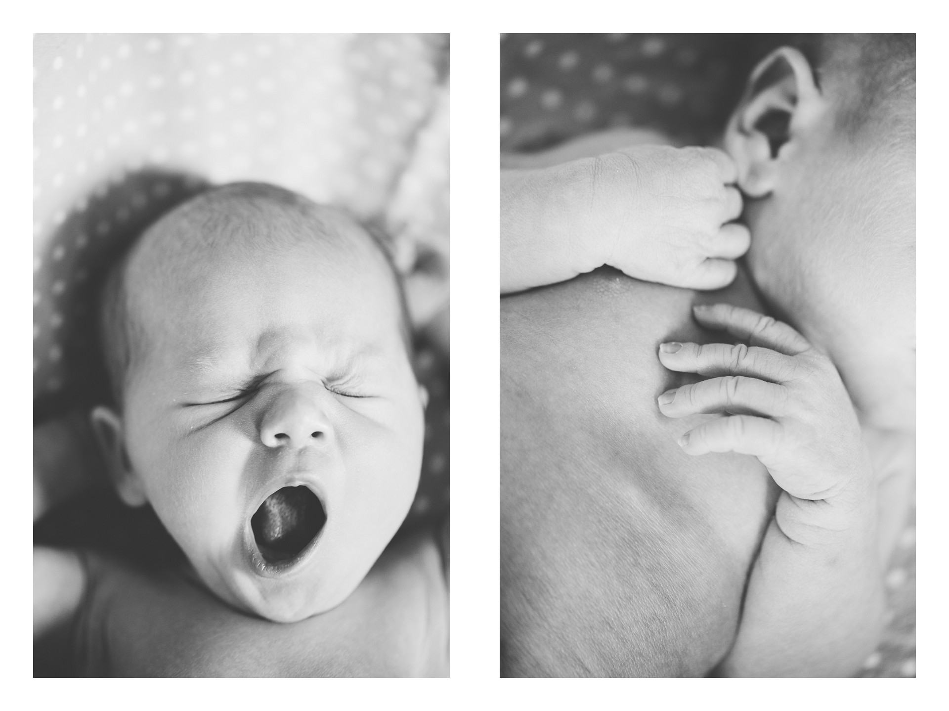 Cleveland Newborn Baby Photographer-8.jpg