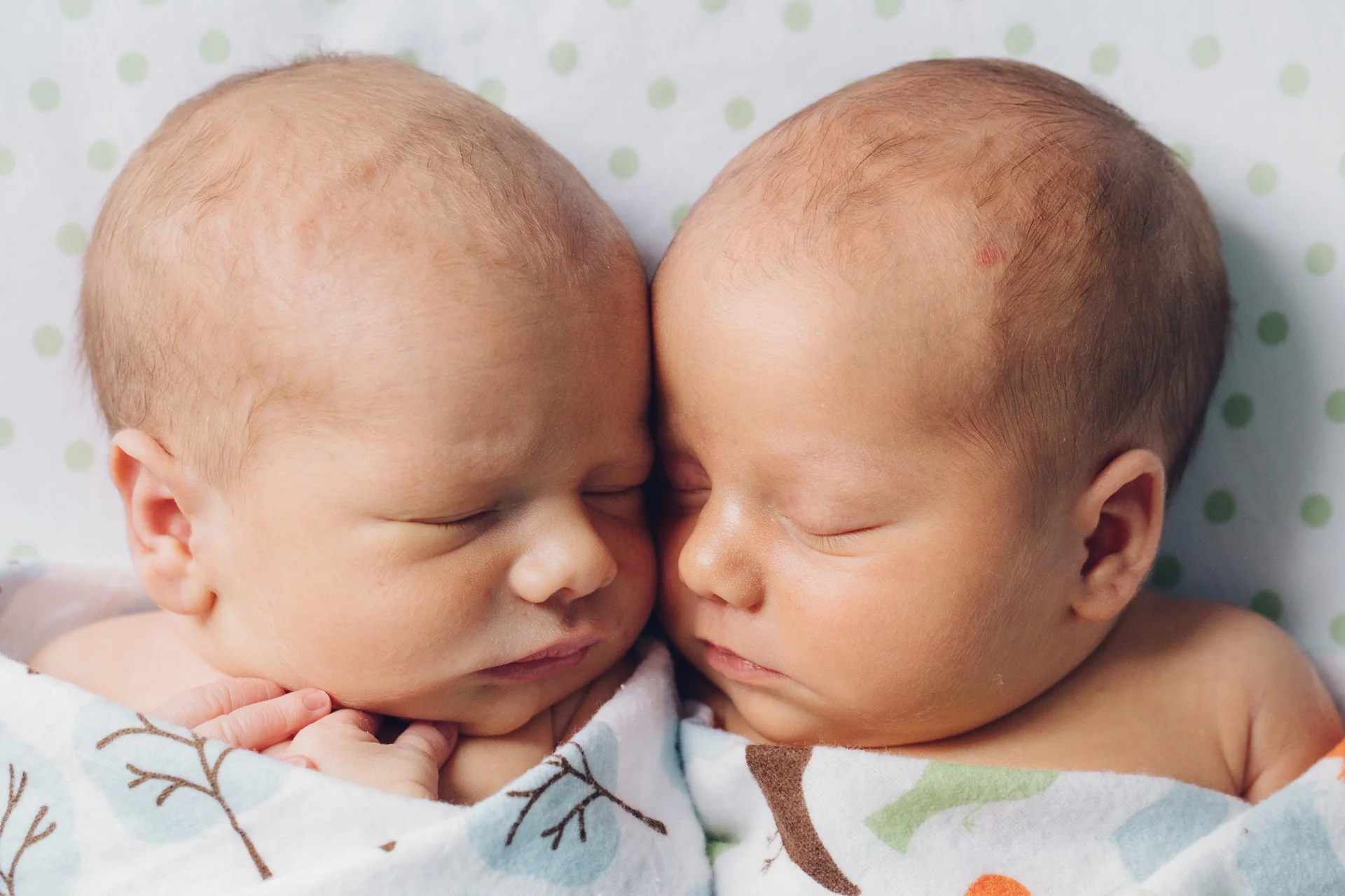 James Family // newborn photos of Marty + Emmeline