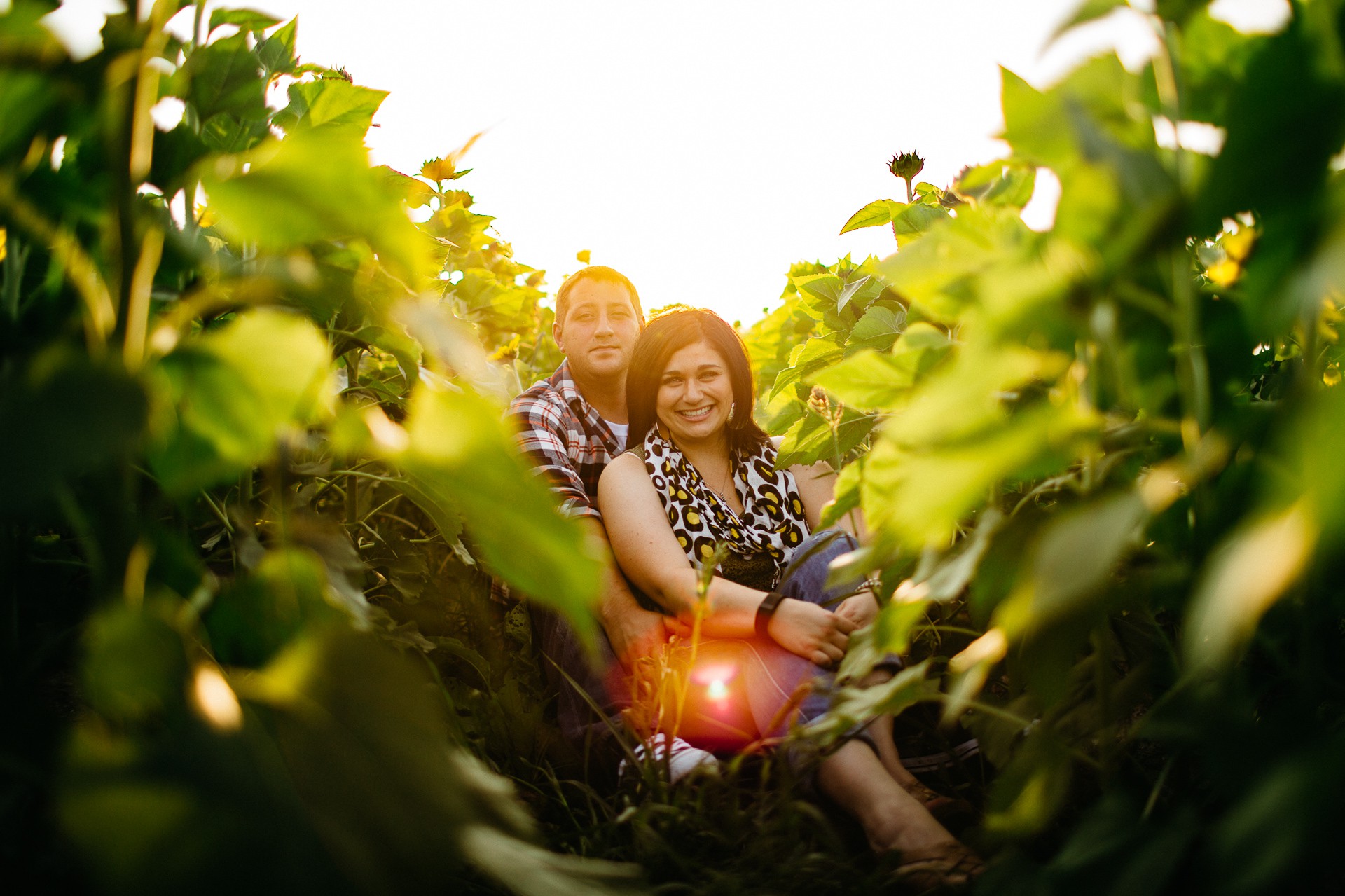 Cleveland Sunflower Field Photos-8.jpg