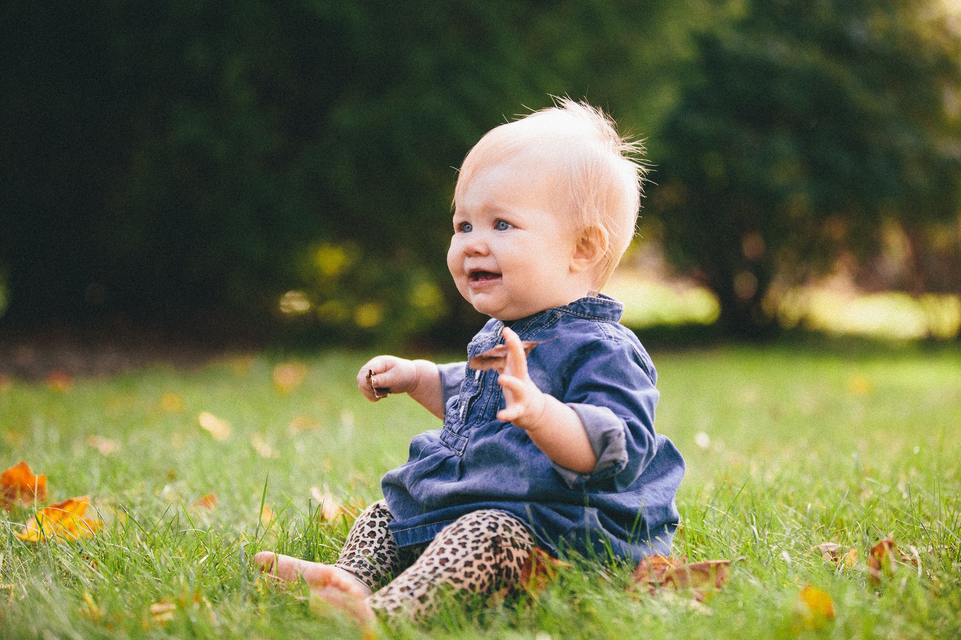 Avon Lake Fall Family Portrait Photographer-15.jpg