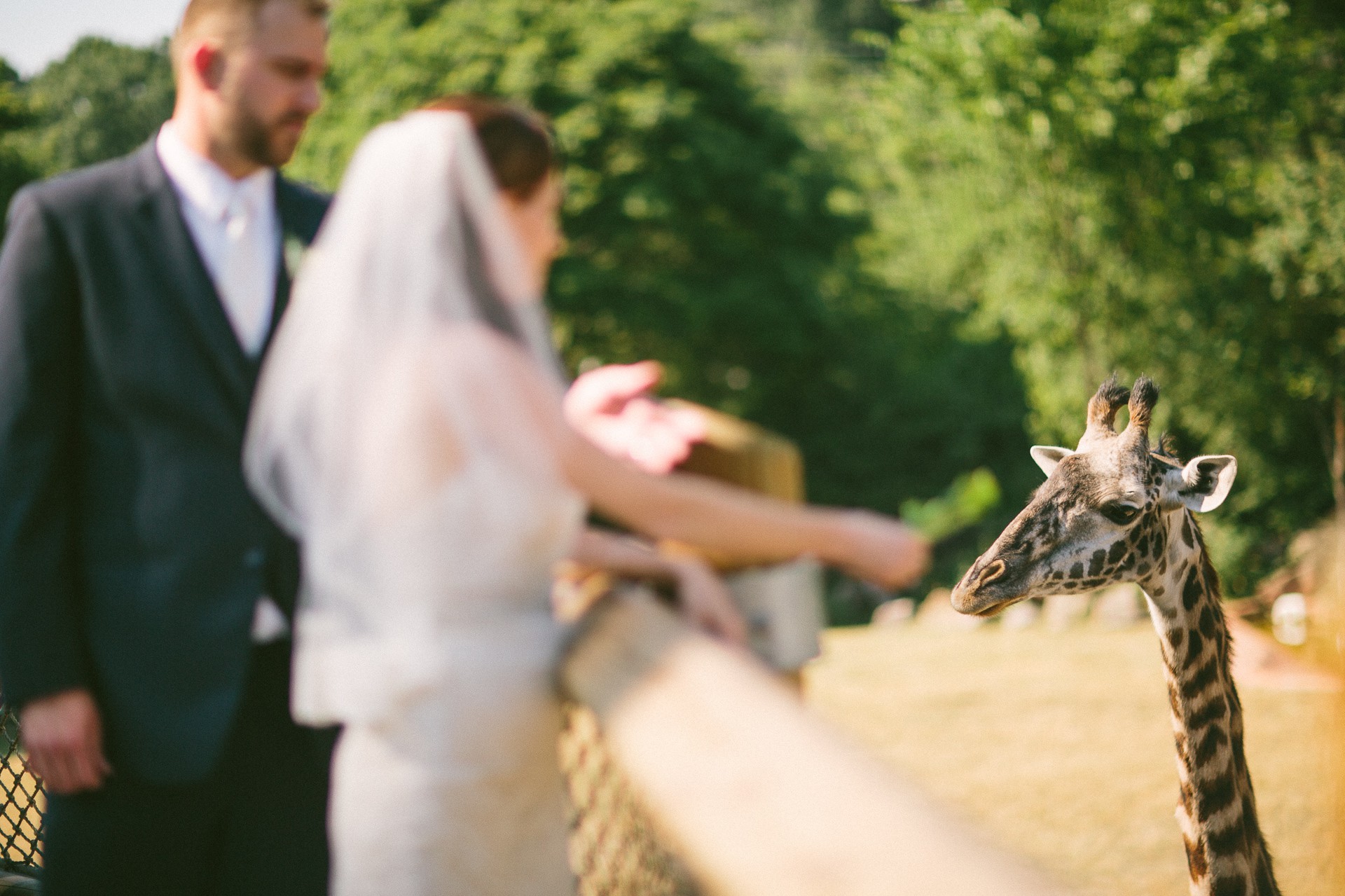 Alyssa + Kevin // a stillwater wedding at the cleveland zoo — Too Much ...