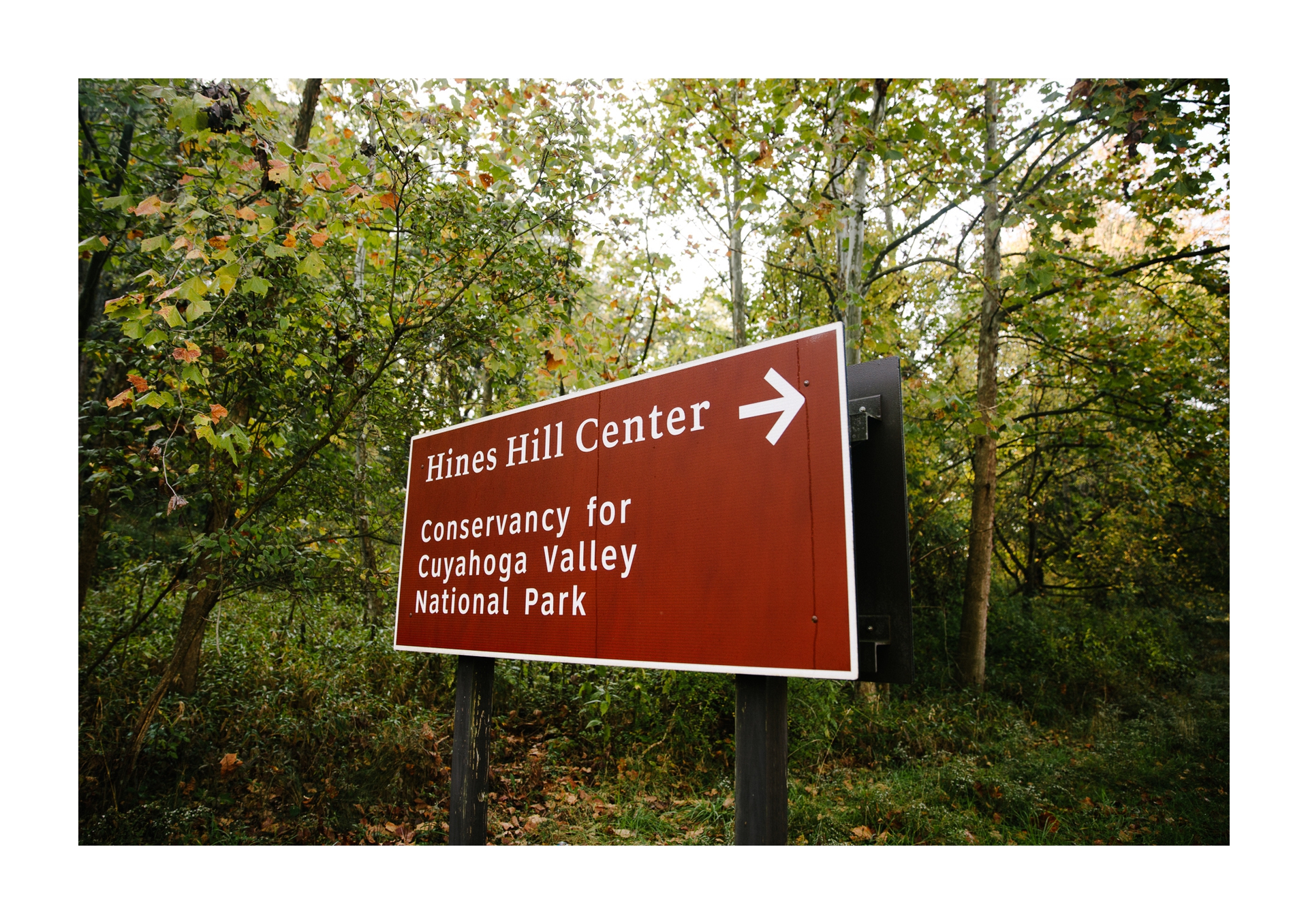 Hines Hill Campus Wedding Photos in Cuyahoga Valley National Park Cleveland 12.jpg