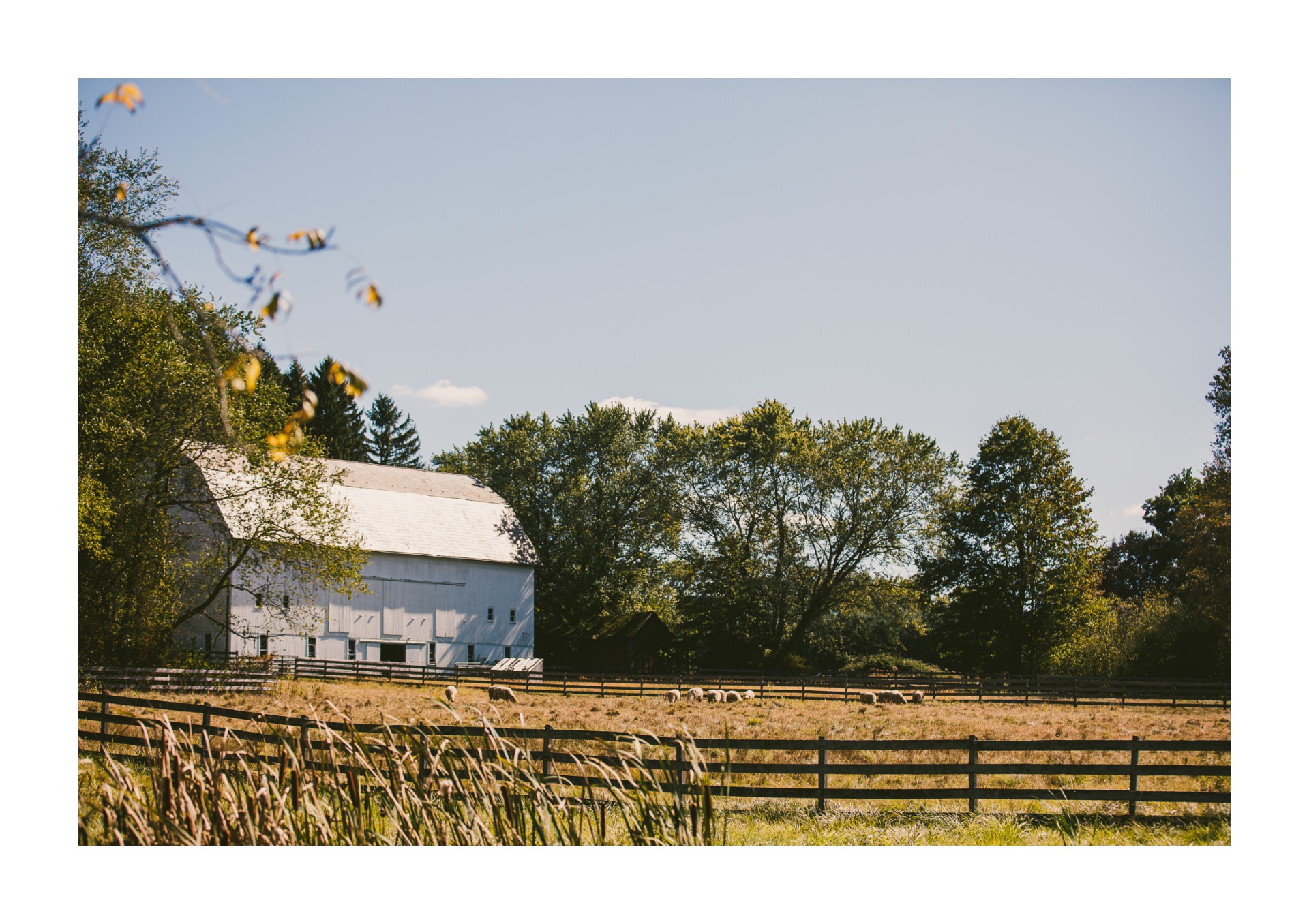 Hale Farm and Village Wedding Photographer 00006 .JPG