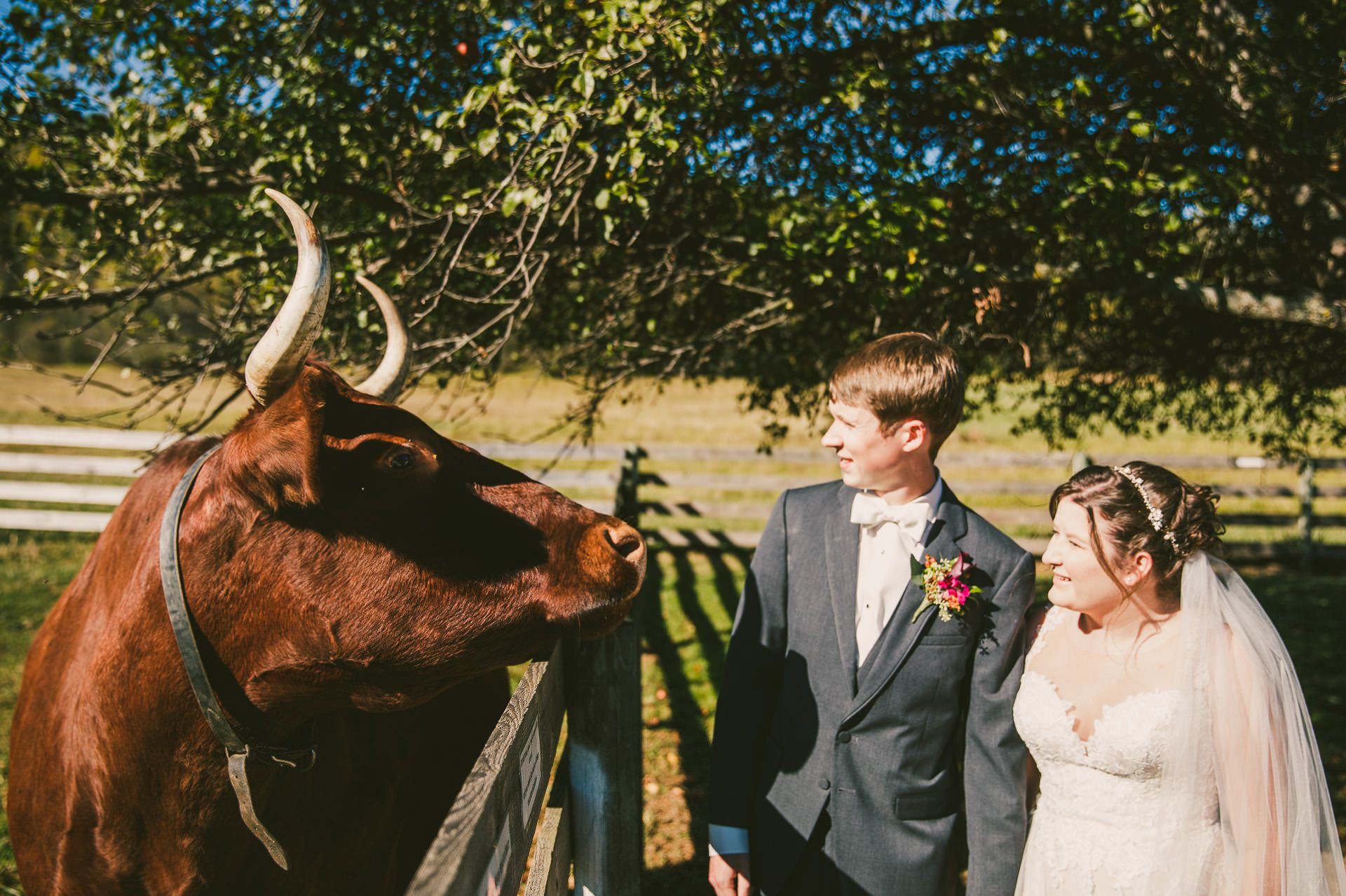 Hale Farm and Village Wedding Photographer 00031 .JPG