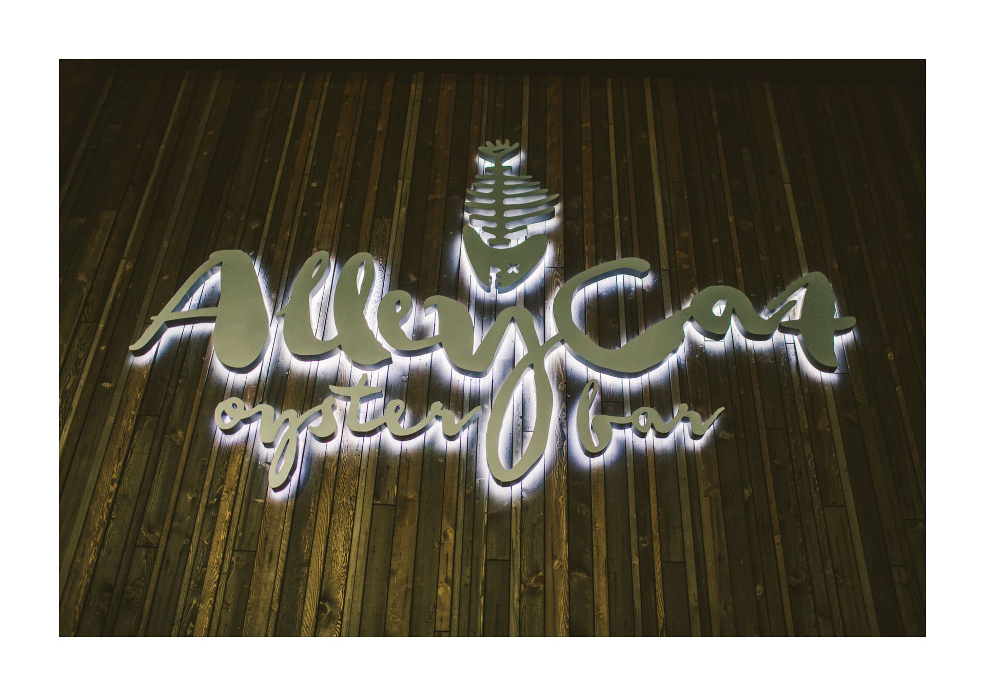 Aloft Hotel Alley Cat Oyster Bar Wedding in Cleveland 73.jpg