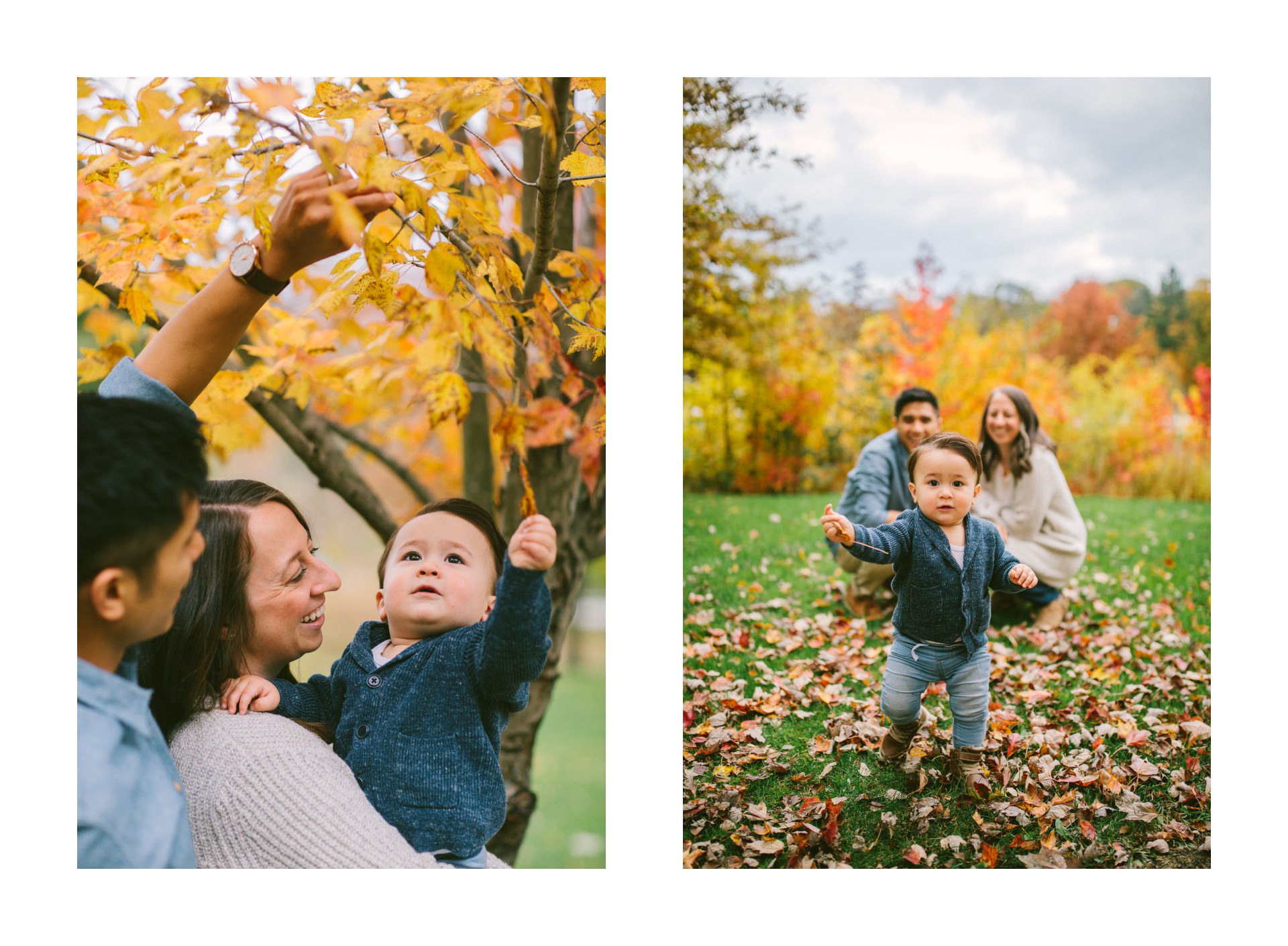 Fall Family Portrait Photographer in Rocky River Ohio 5.jpg