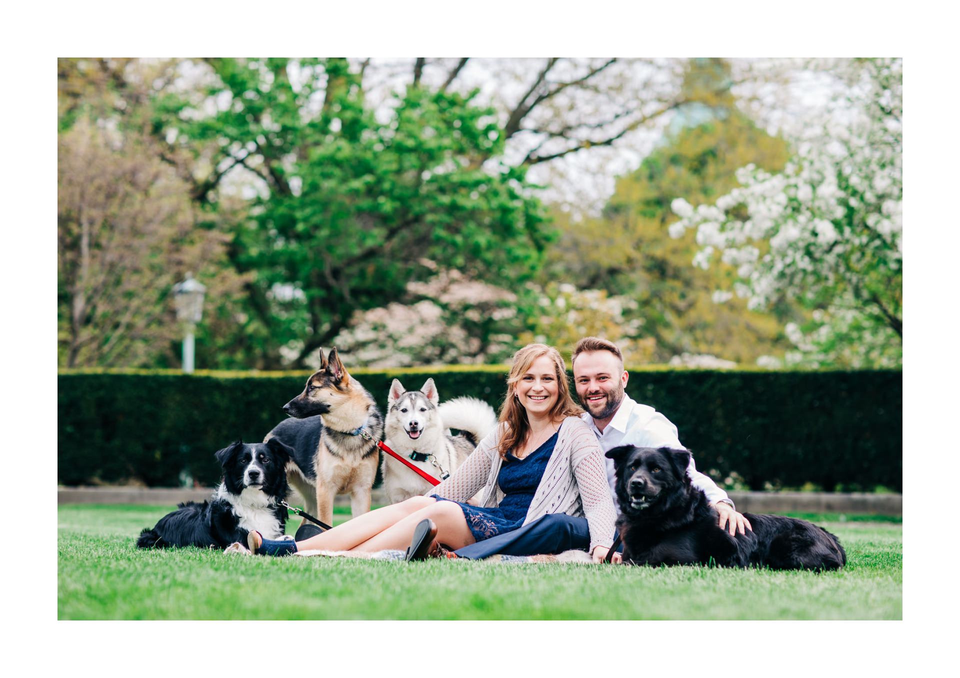 Cleveland Spring Cherry Blossom Engagement Session 2.jpg