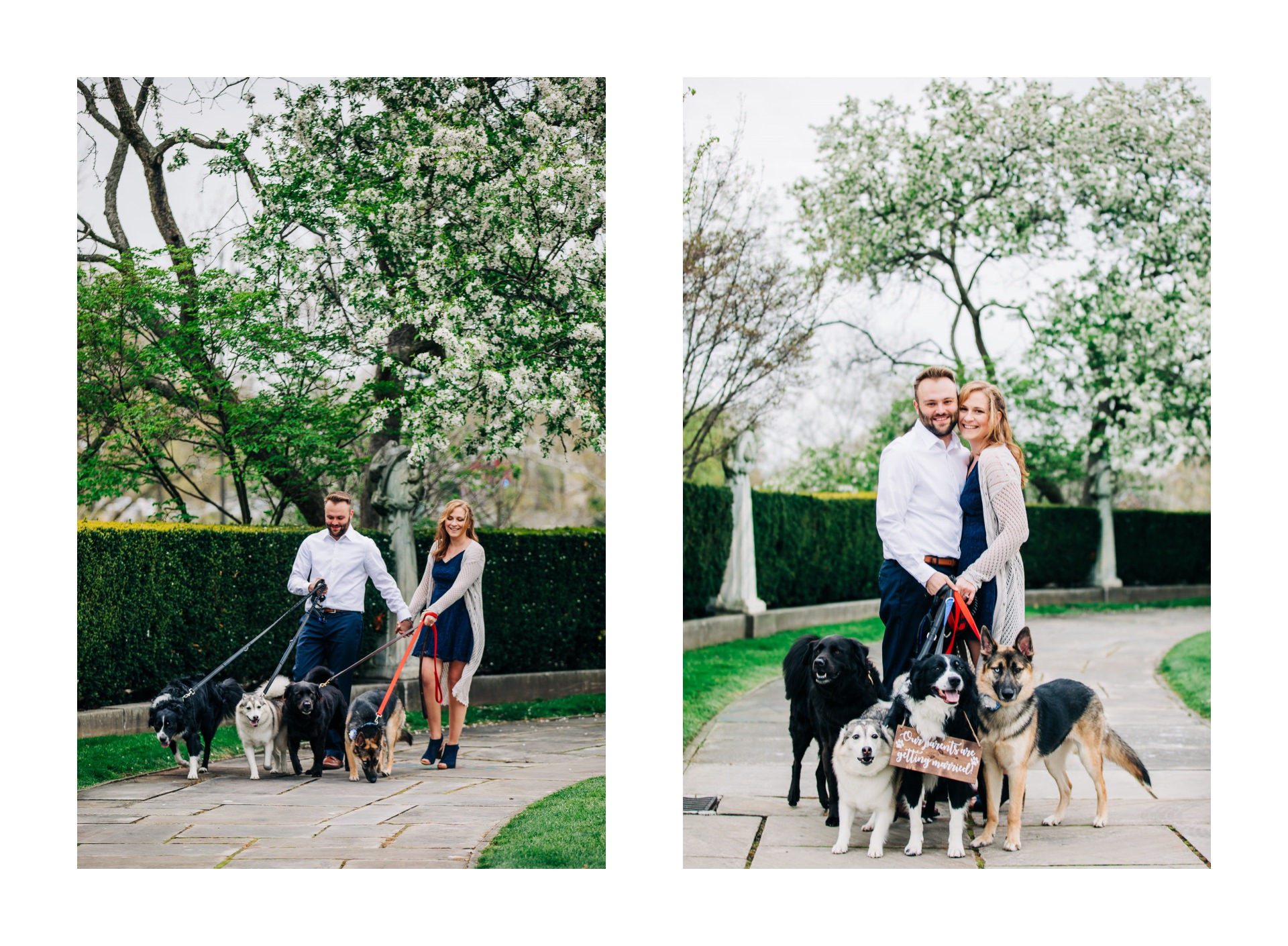 Cleveland Spring Cherry Blossom Engagement Session 5.jpg