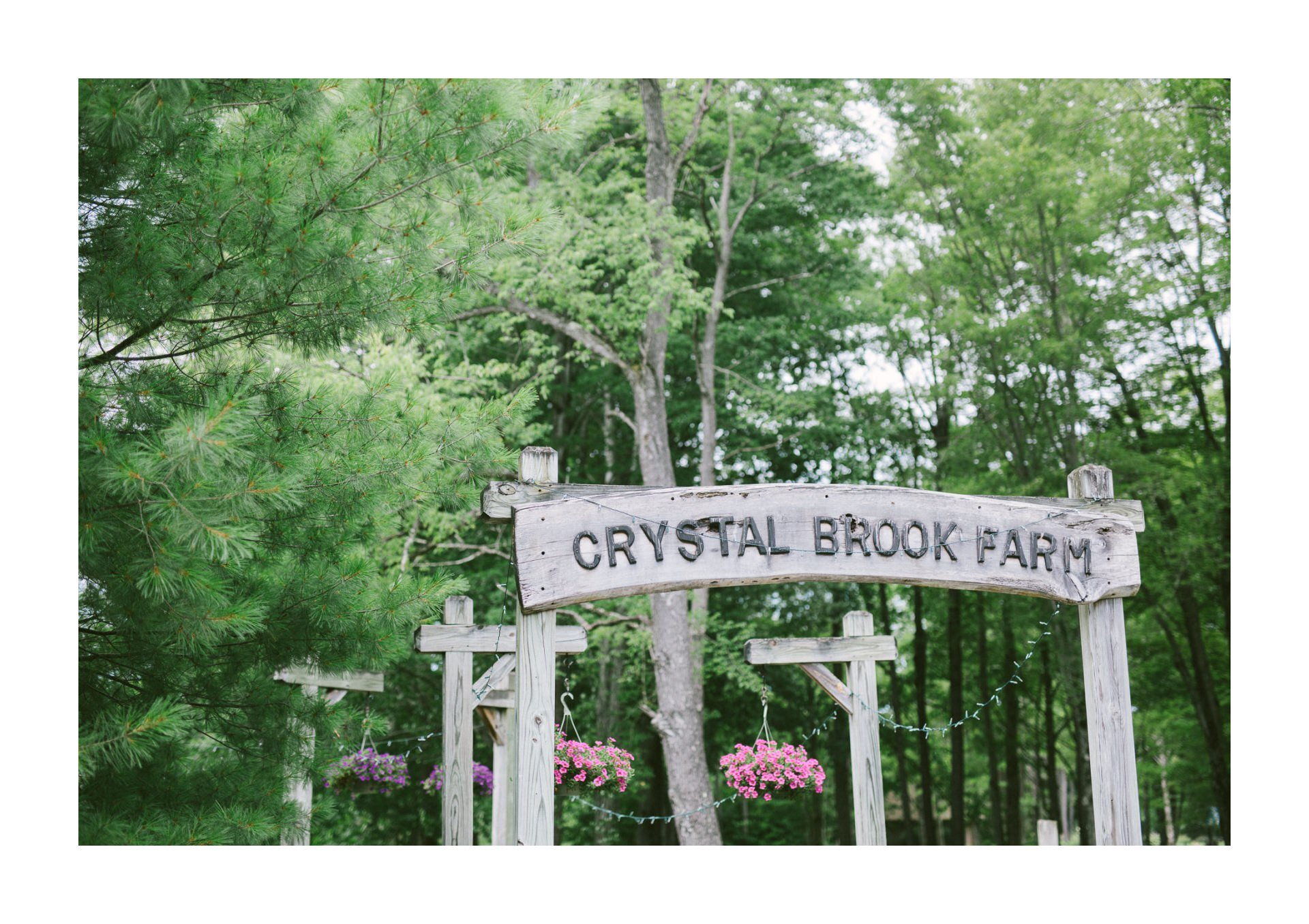 Crystal Brook Farm Wedding Photographer in Chagrin Falls 1 21.jpg