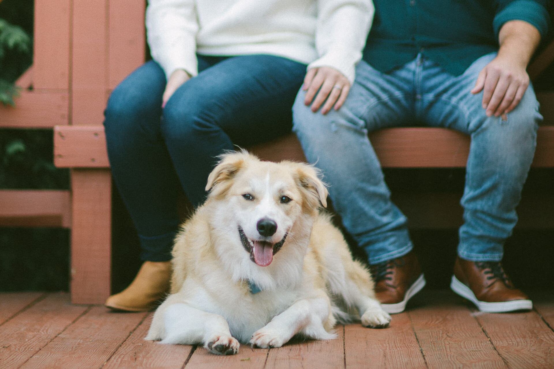 Fairview Park Engagement Photos 3.jpg