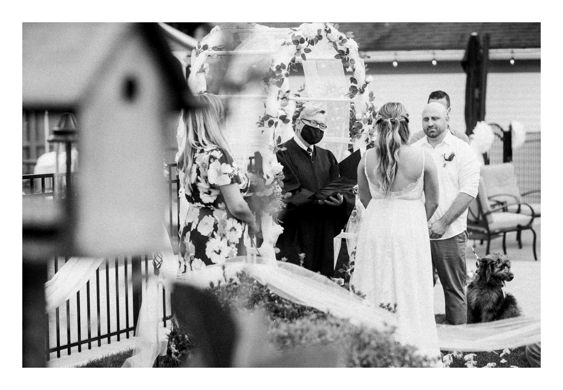 Cleveland Backyard Micro Wedding Photos  17.jpg