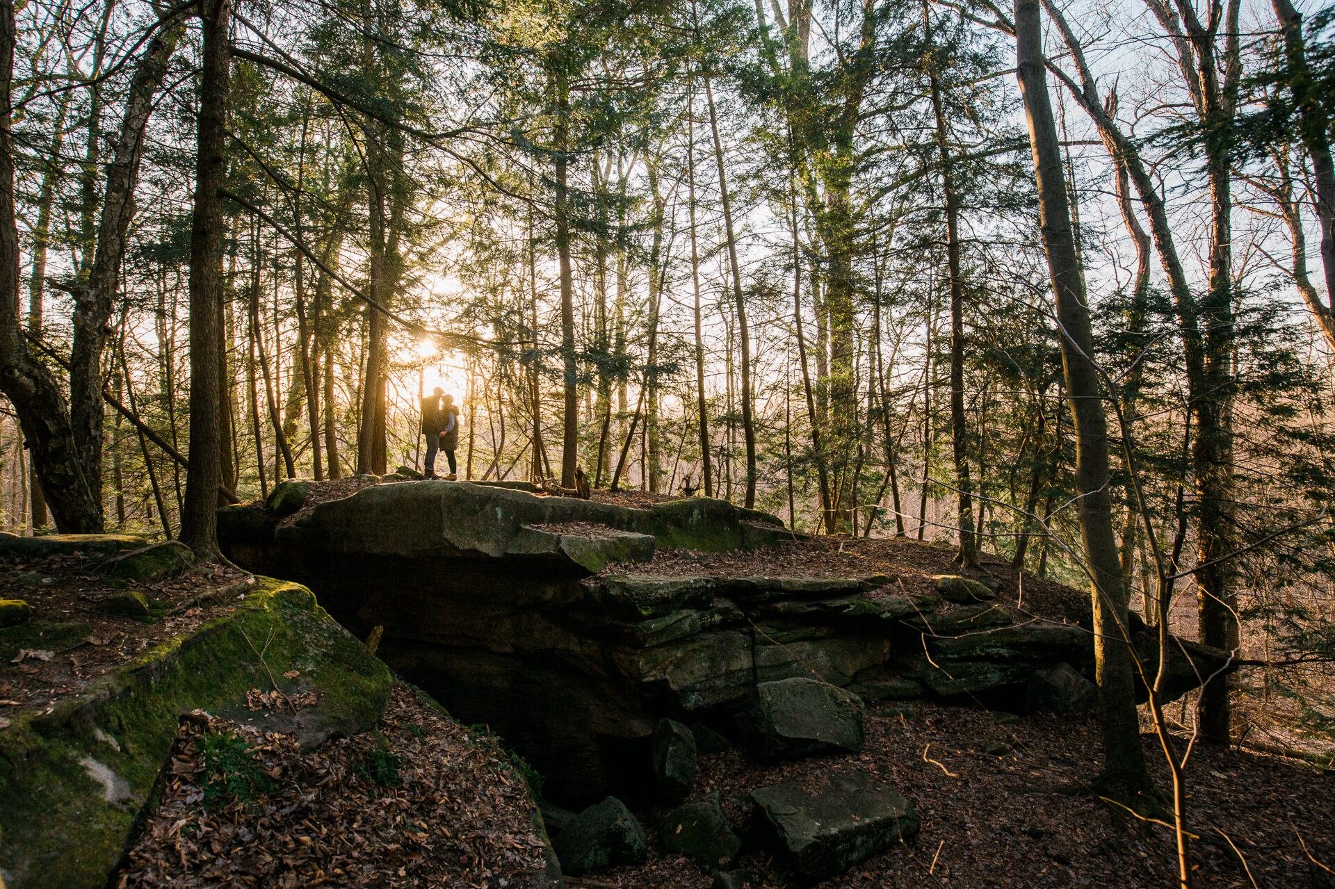 Cleveland Engagement Photographers 1.jpg