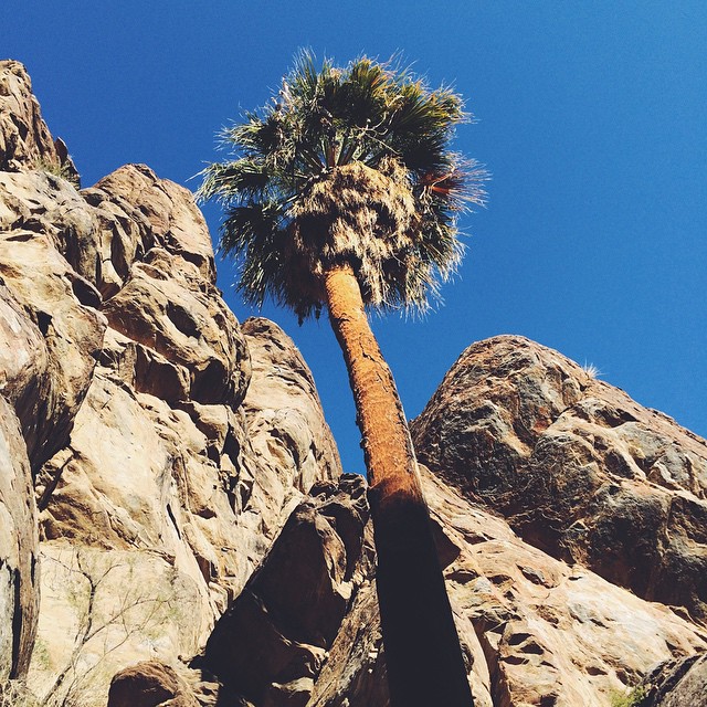 Went for a hike in the desert today.