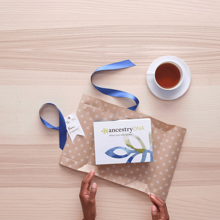 Gift_Wrap_MOTION_Kit_Unboxing_Origins_Brittney_W2.gif