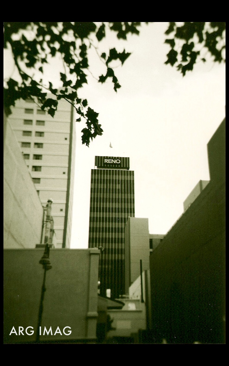 (Holga 120GN, Expired B&W Ilford Film)