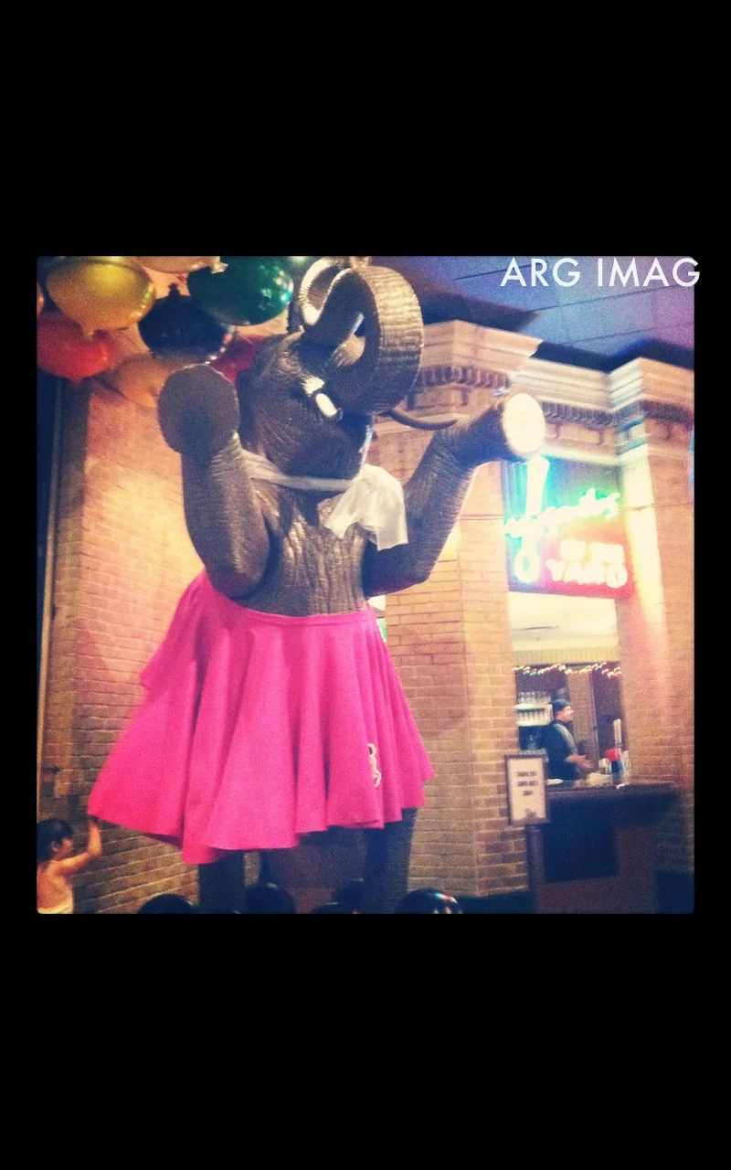 (iPhone 4, Instagram App)
