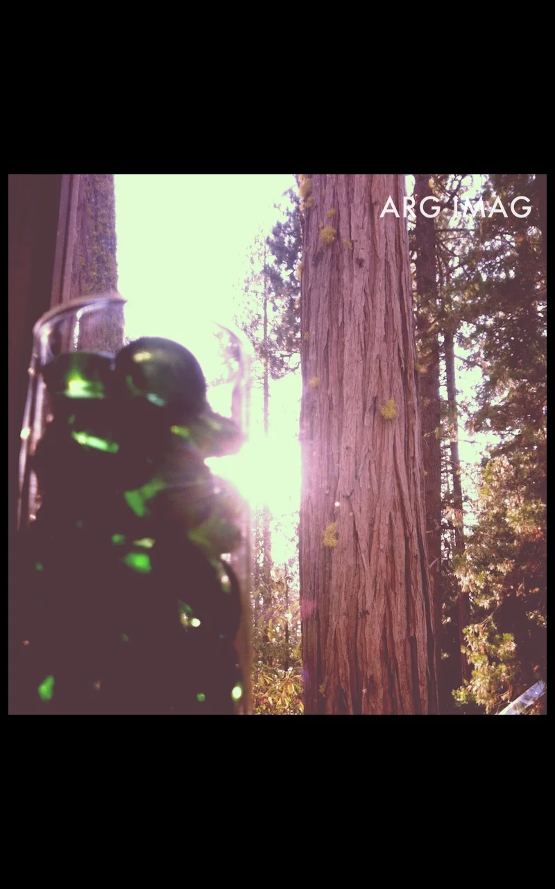 (iPhone 4, Instagram App)