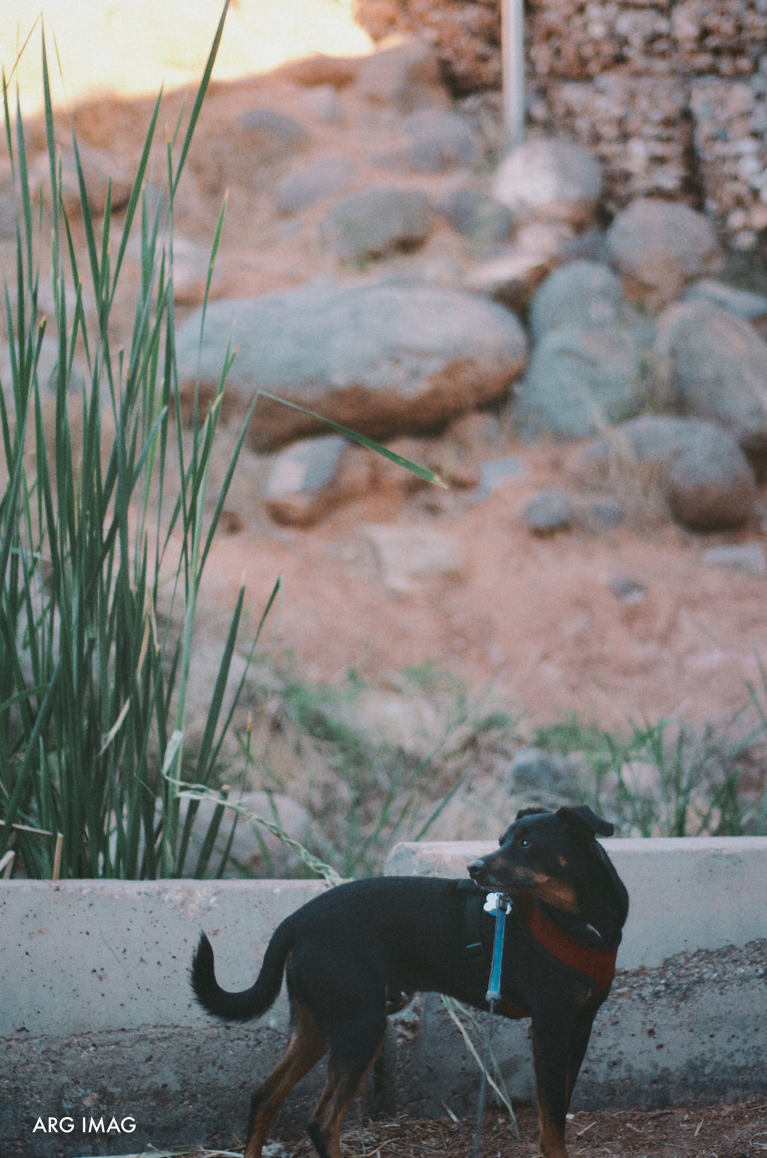 DSC_1254.jpg