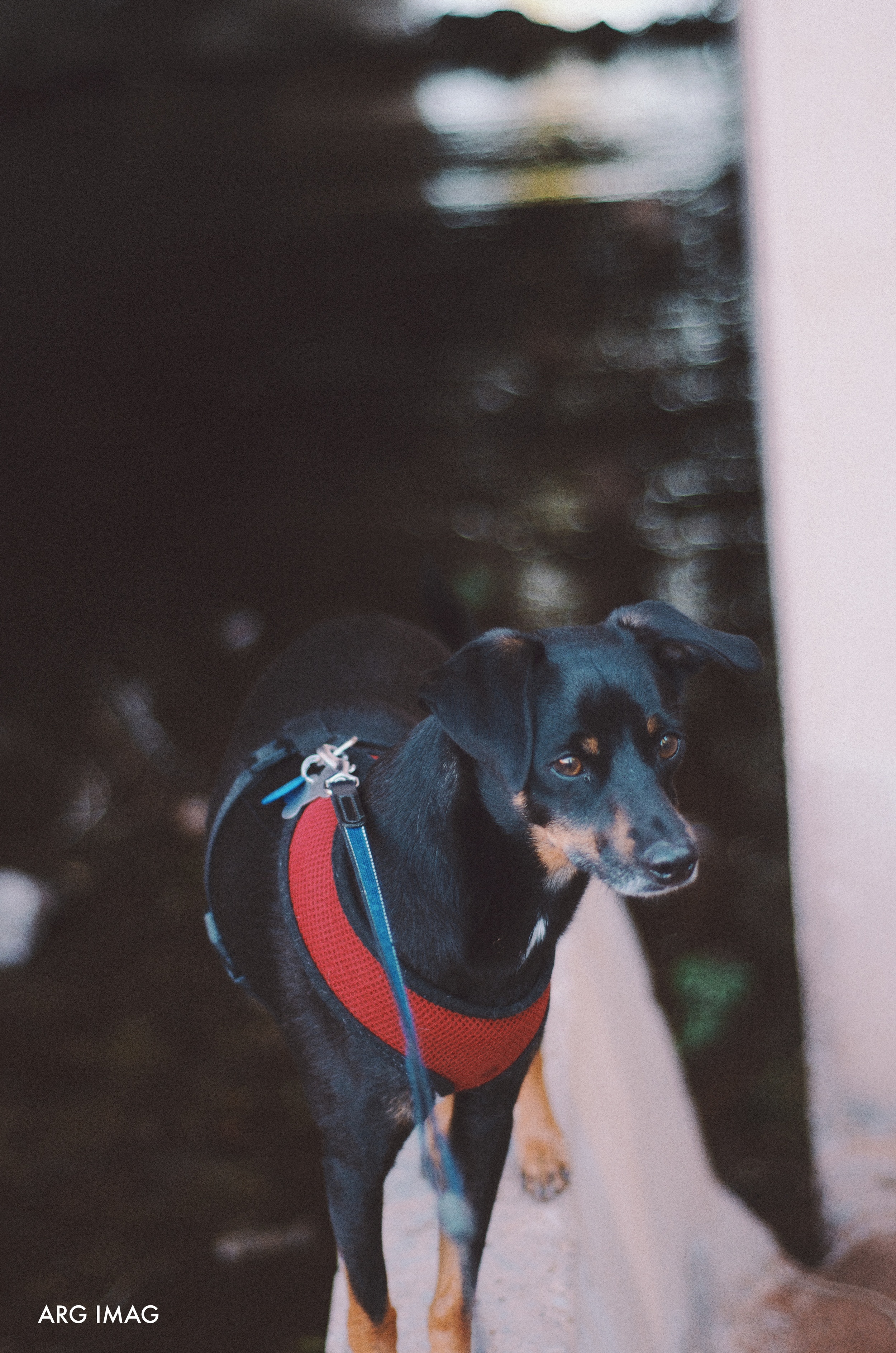 DSC_1287.jpg