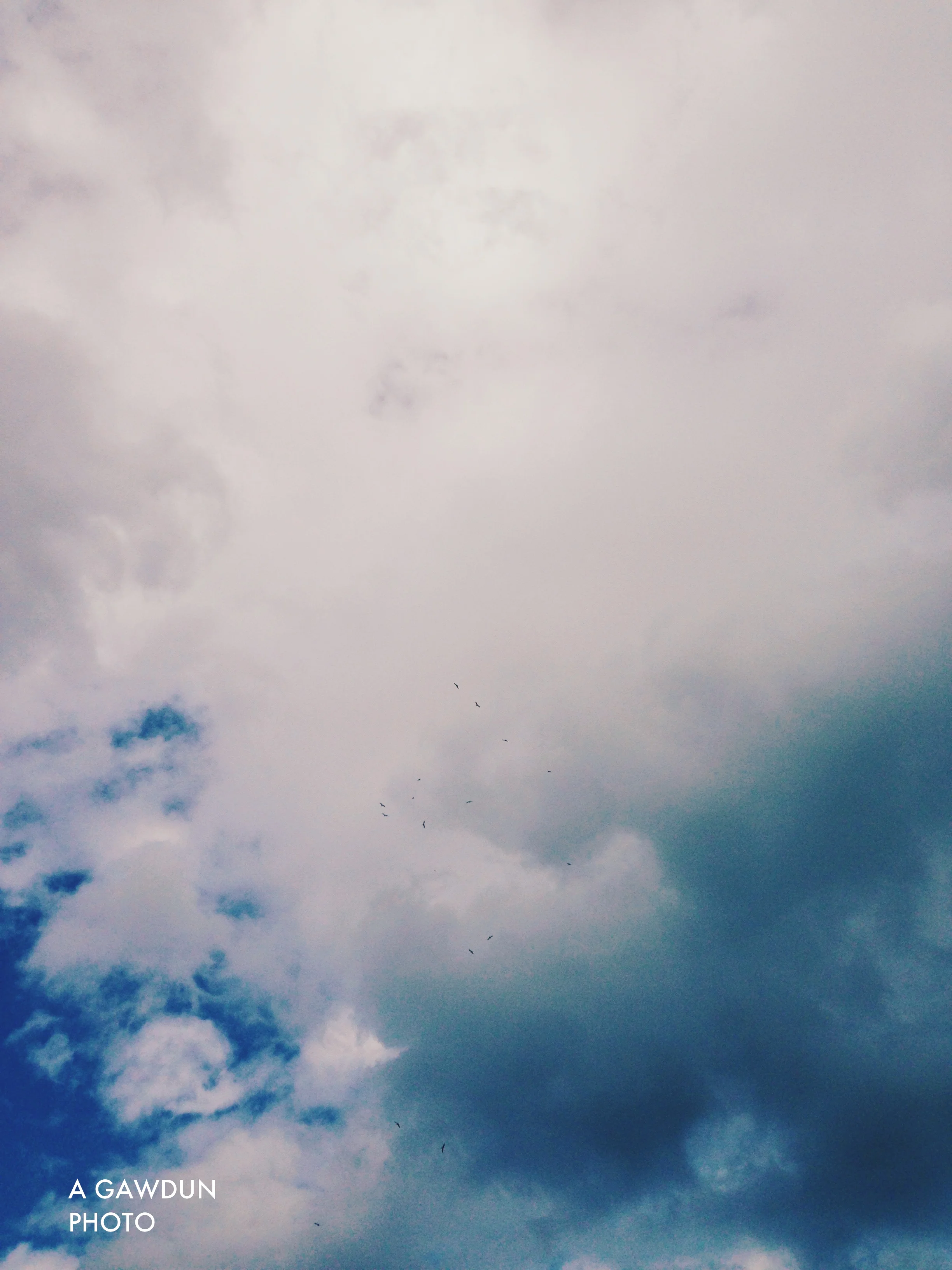 Processed with VSCOcam with g2 preset