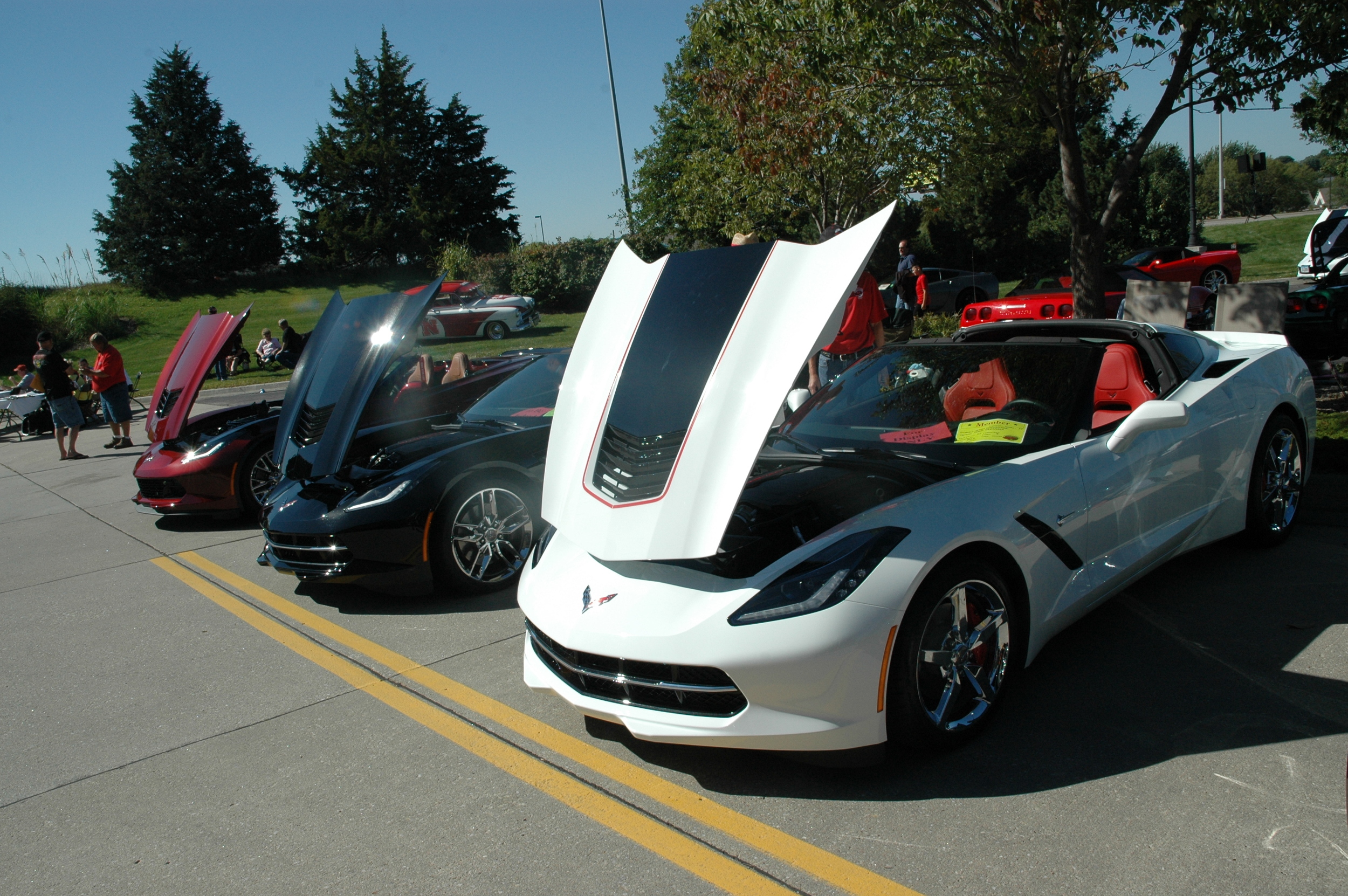 DSC_0051.JPG