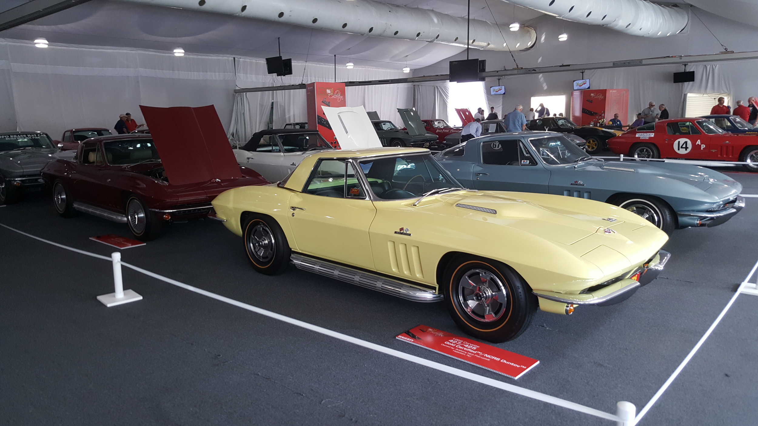 The 1966 Vette is 50 years old and were featured this year 