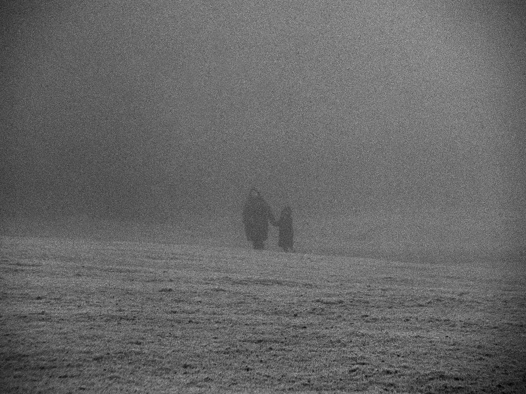 Transient