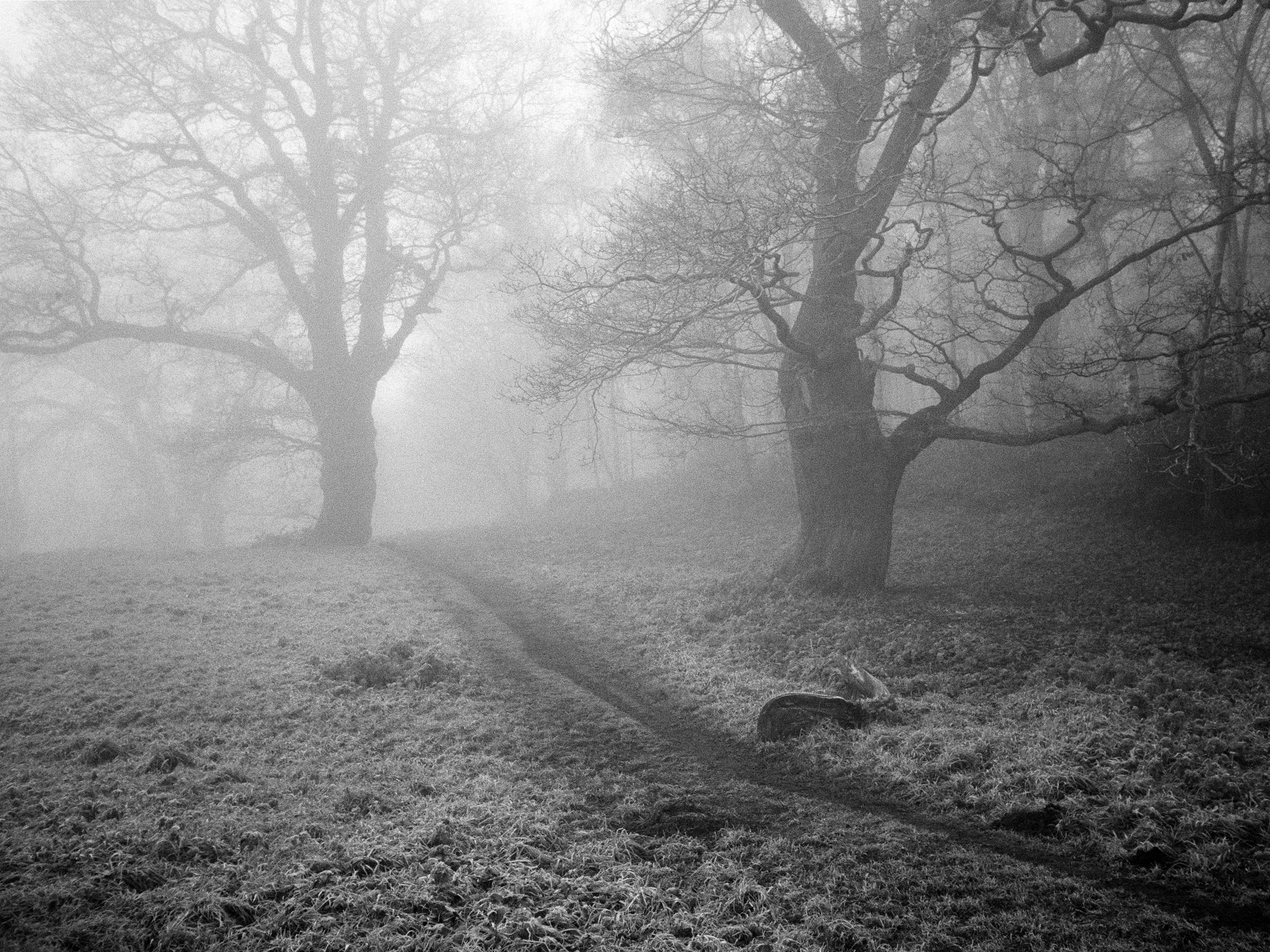 Transient