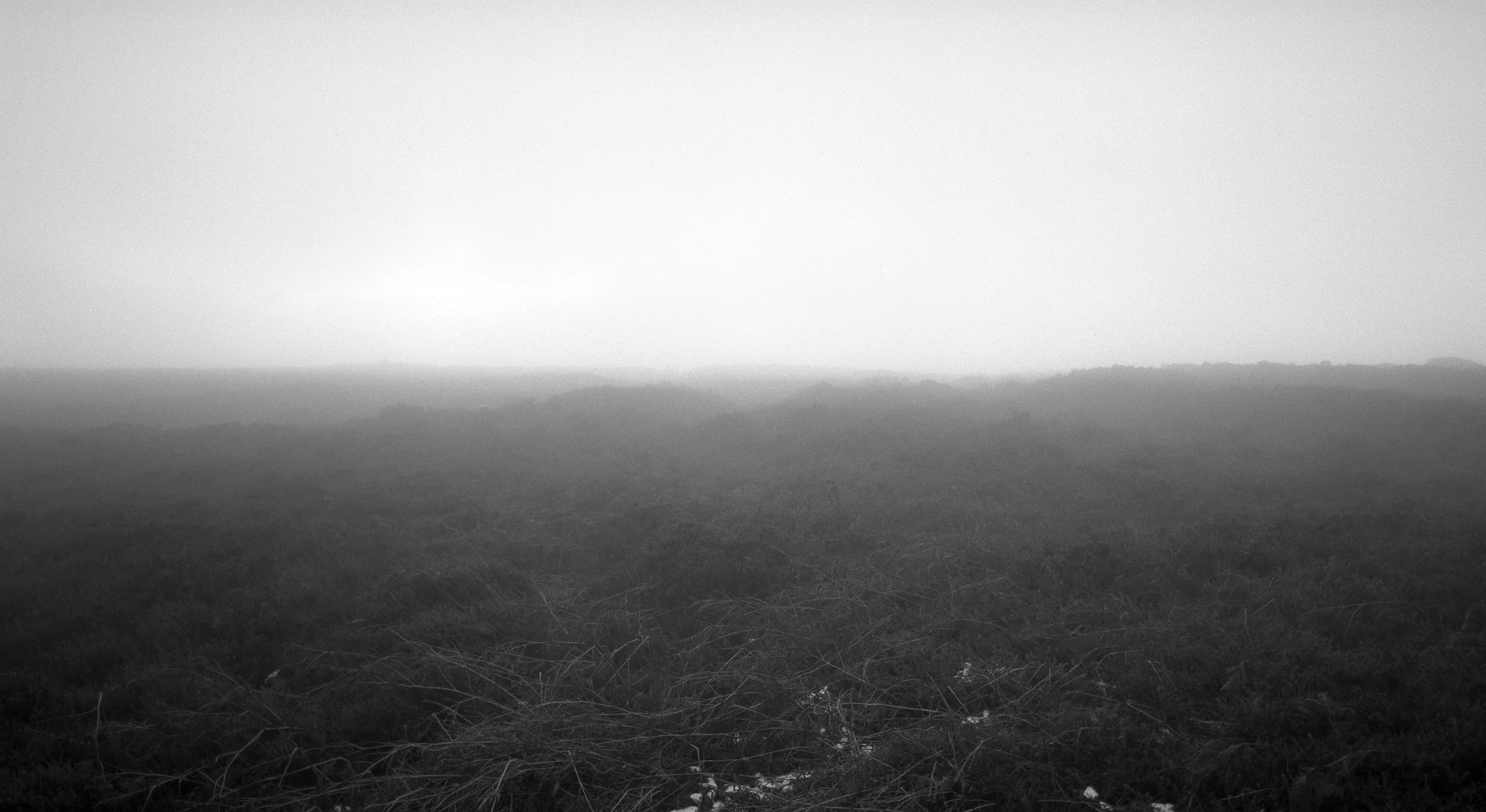 Transient