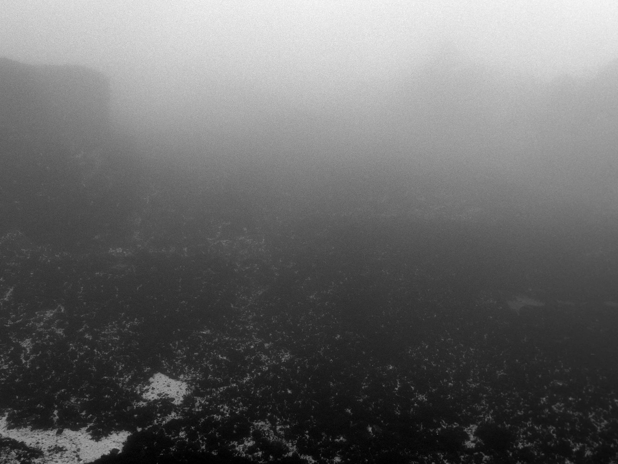 Transient