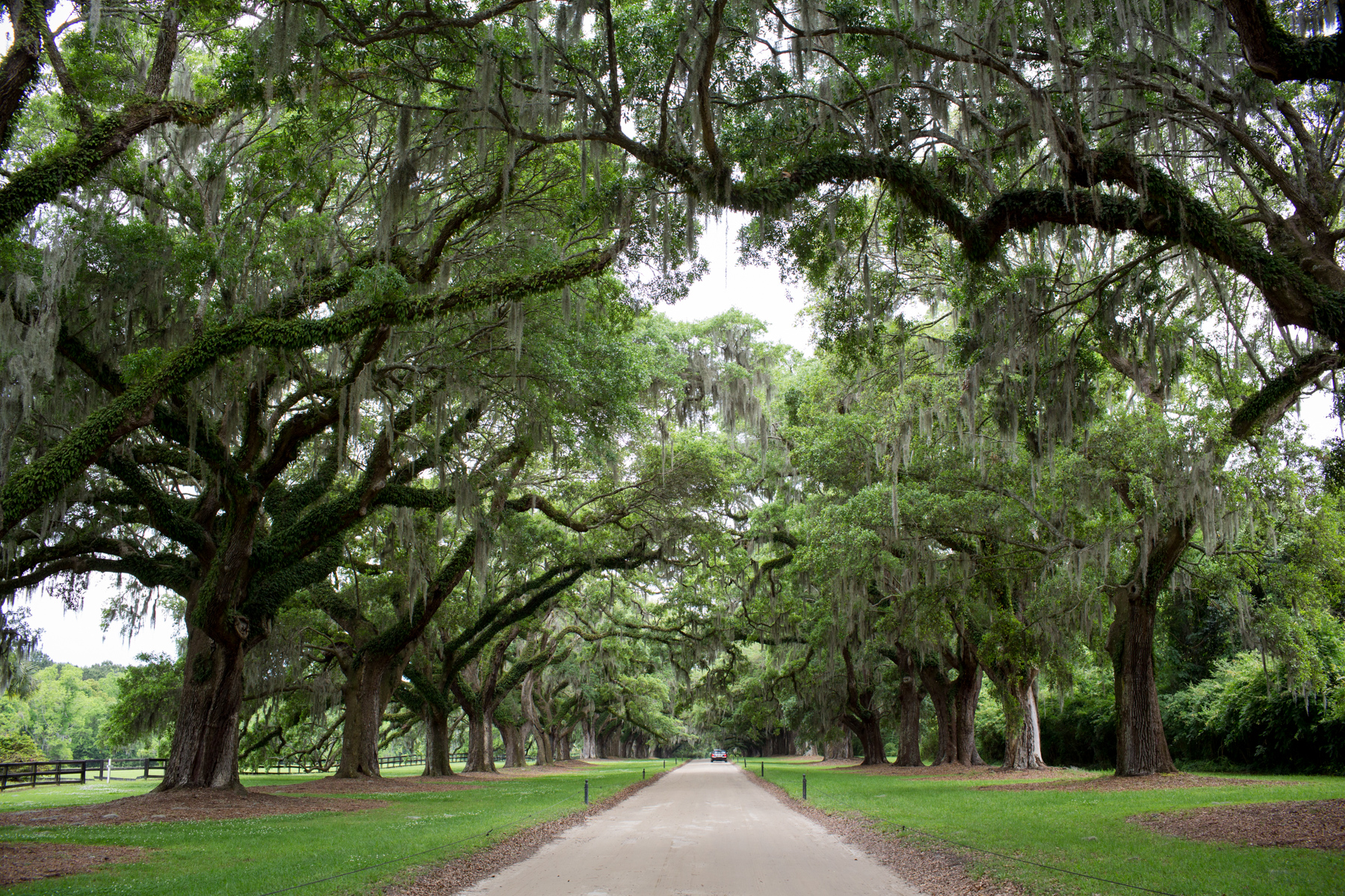 Boone Hall Plantation Wedding 24.jpg