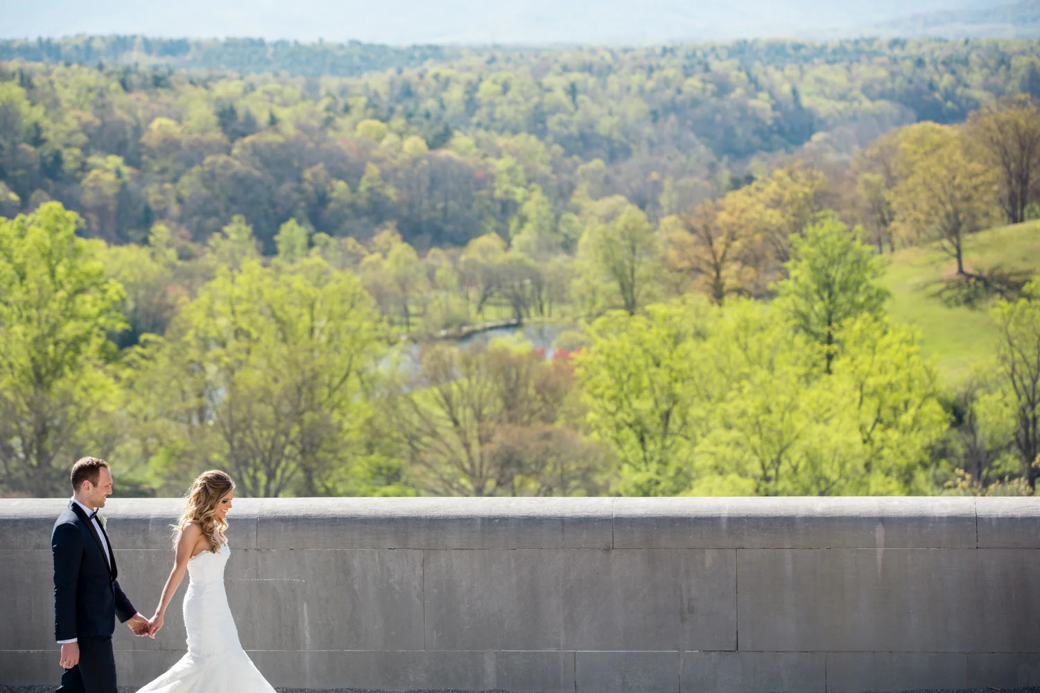 Biltmore Estate Wedding 17.jpg