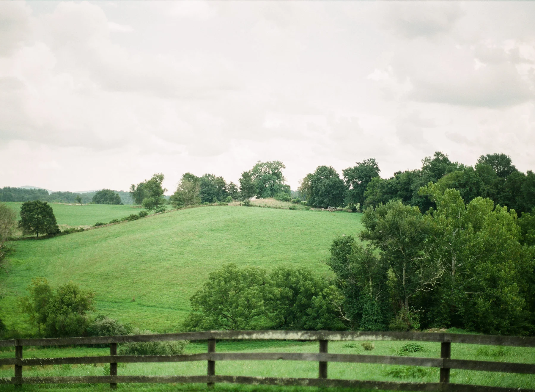 Virginia-Film-Photographer-Wedding-44.jpg