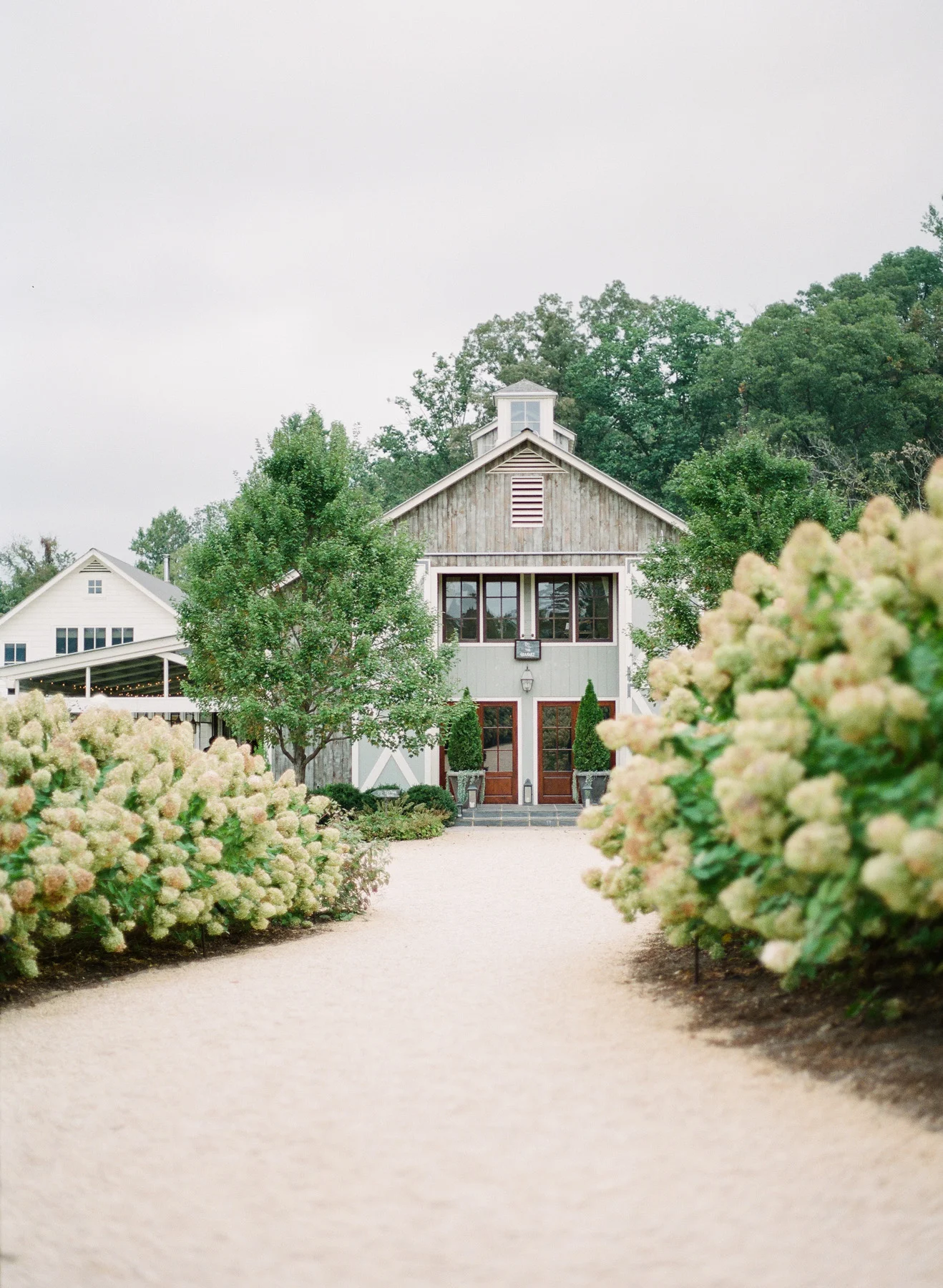 Pippin-Hill-Farm-and-Vinyards-Wedding-Film-Photography-20.jpg