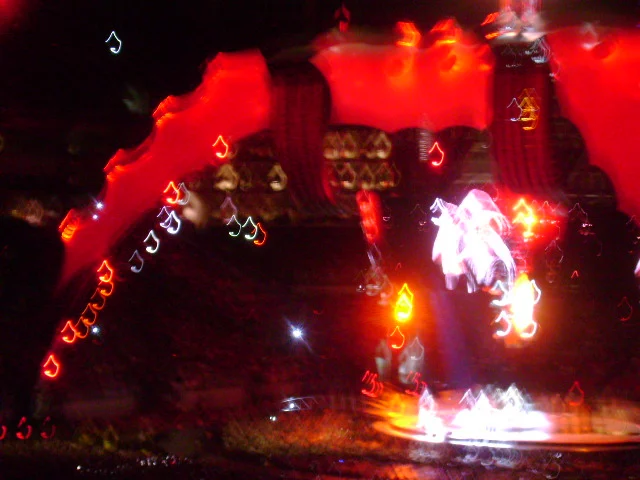 dsc01774.jpg