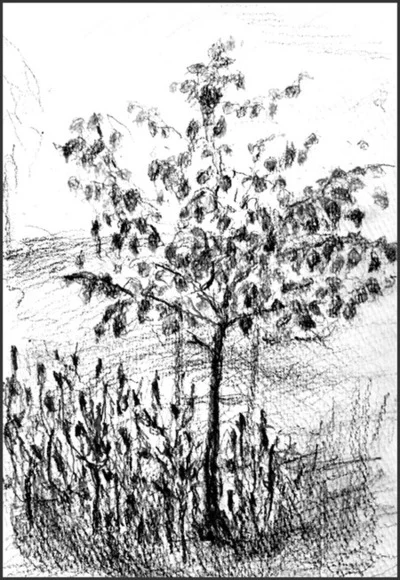 4366865-12973598-thumbnail.jpg