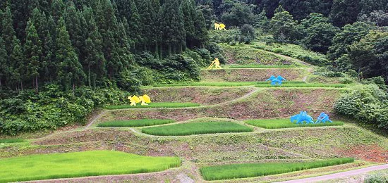 The-Rice-Field-550.jpg