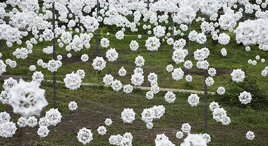 Snow in Snow // Takenori Miyamoto + Hiromi Seno