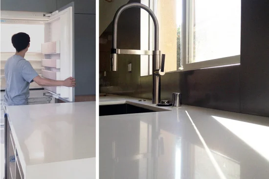 integrated subzero refrigerator + custom cabinetry