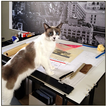 Lulu-at-work-360x360.jpg