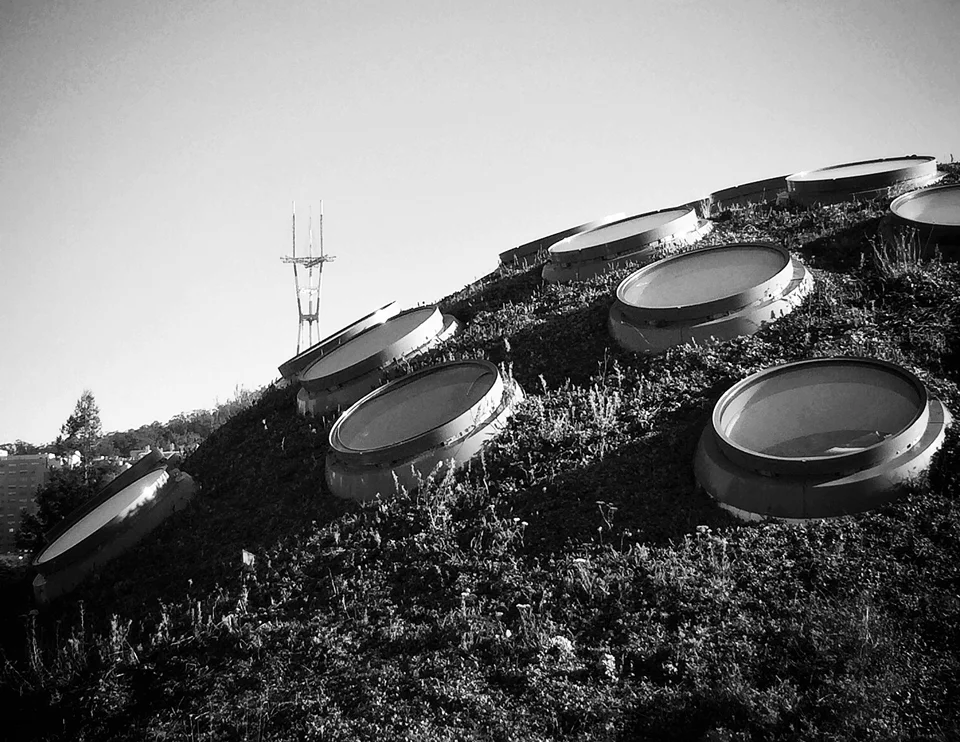 living roof | california academy of sciences